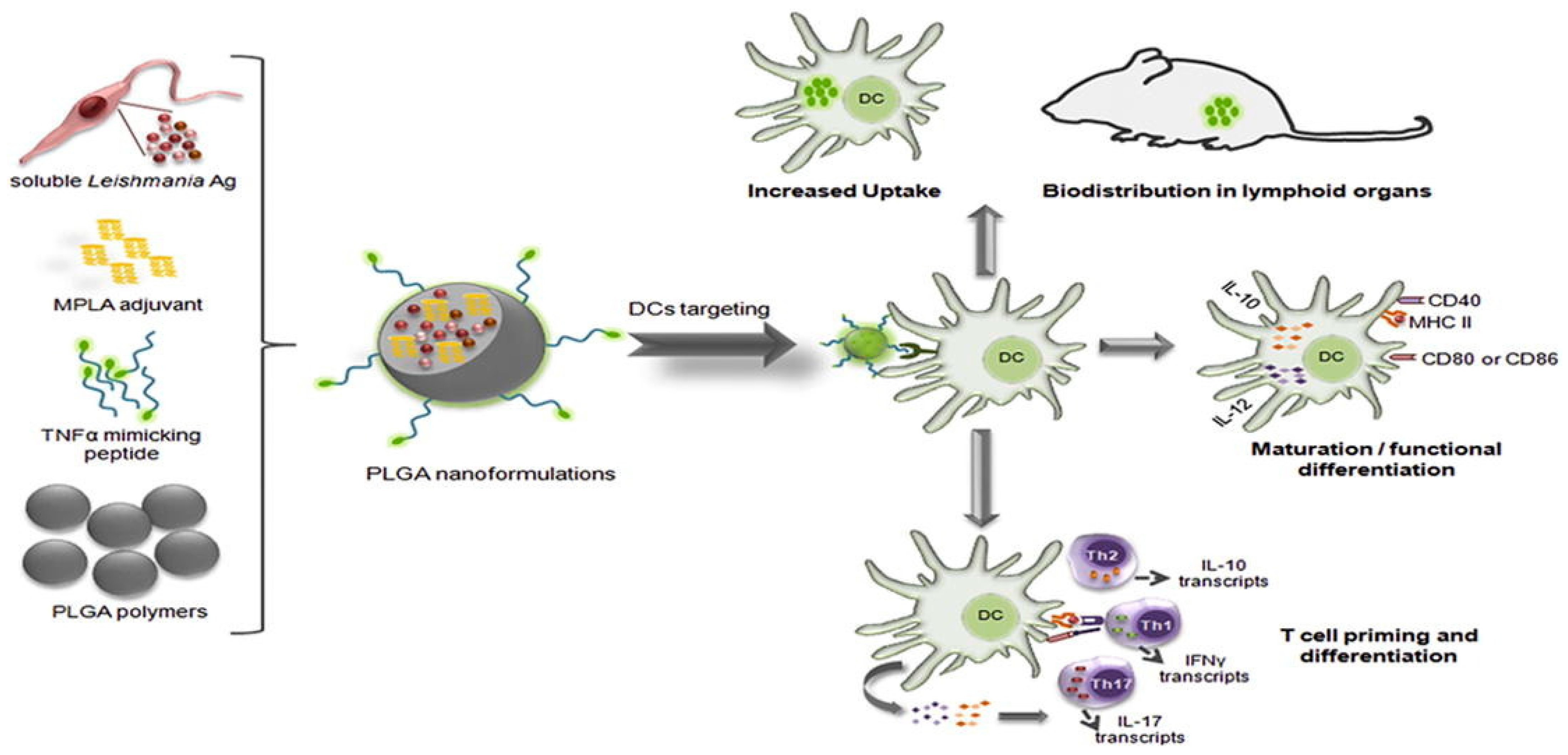 Pharmaceuticals 18 00127 g006