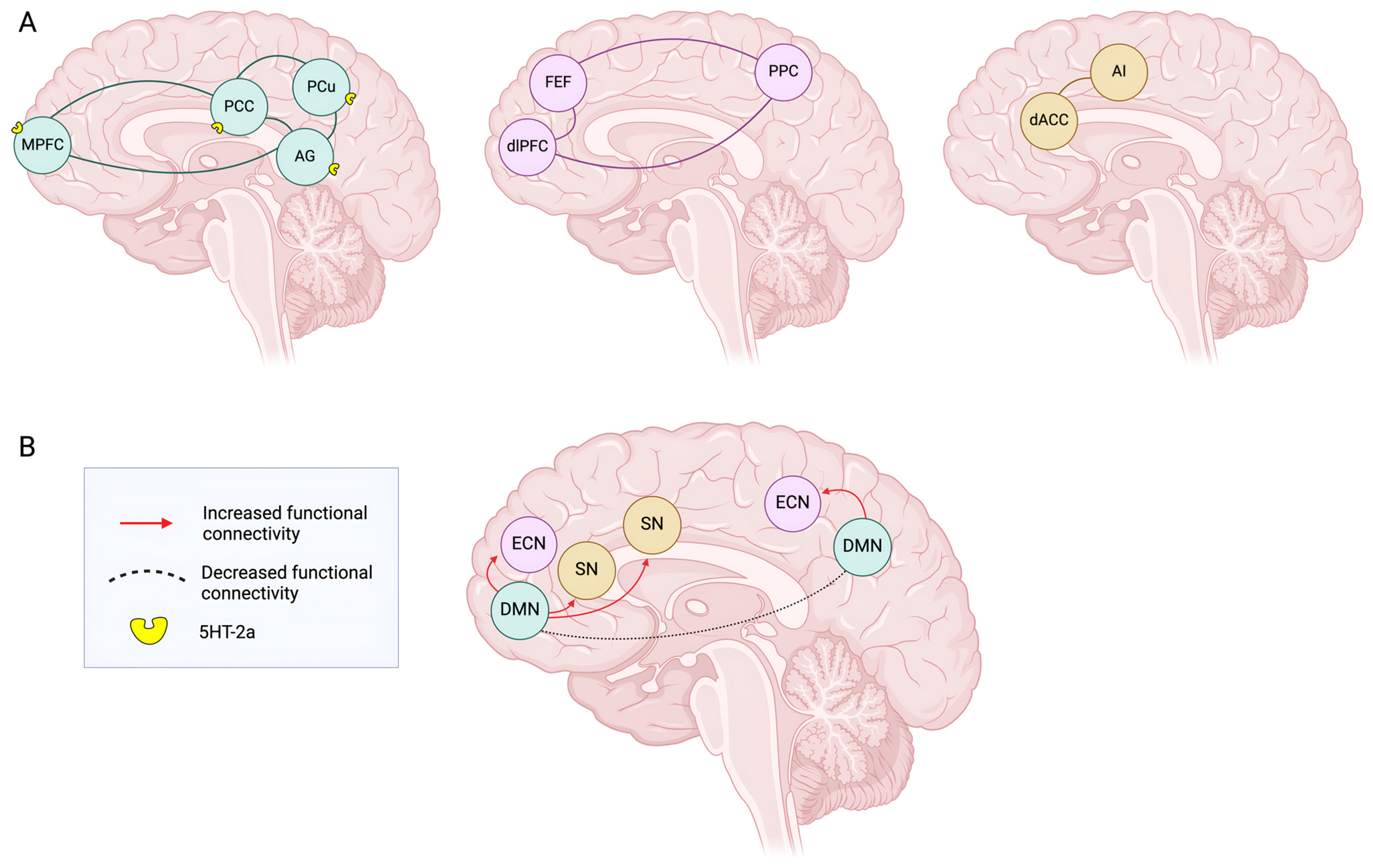 Pharmaceuticals 18 00130 g001
