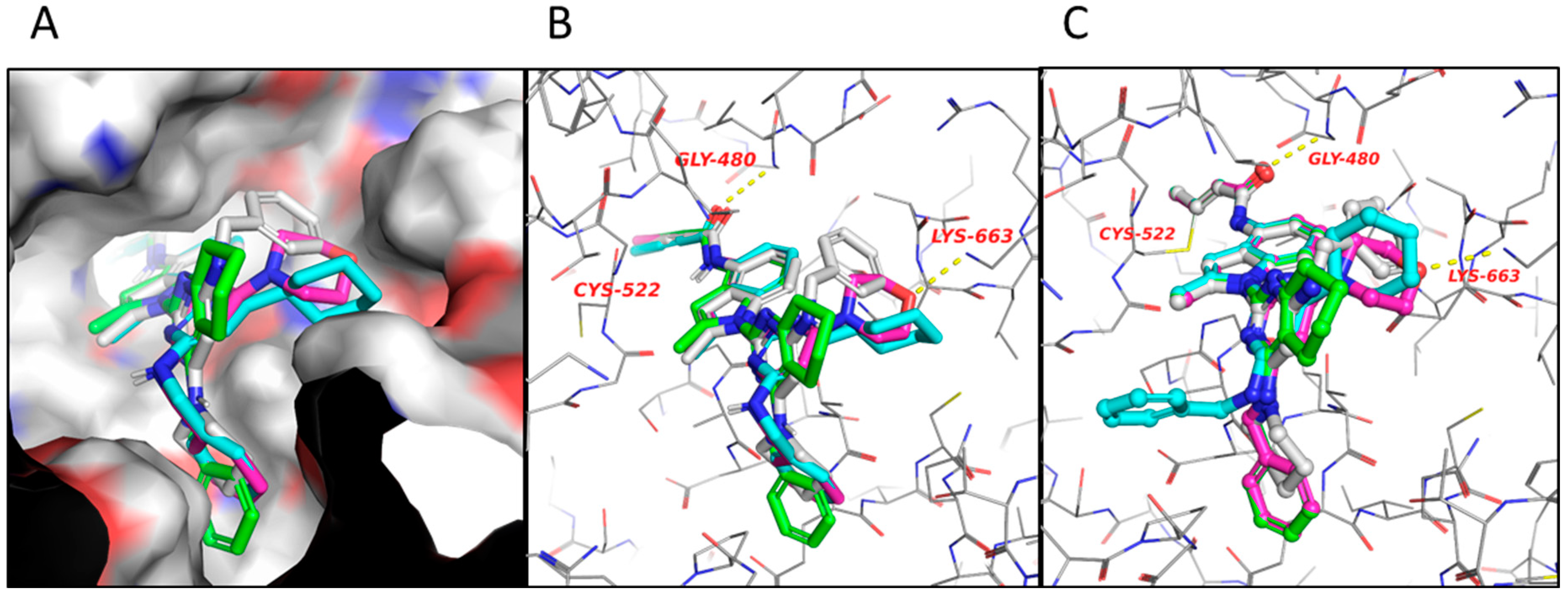 Pharmaceuticals 18 00131 g004