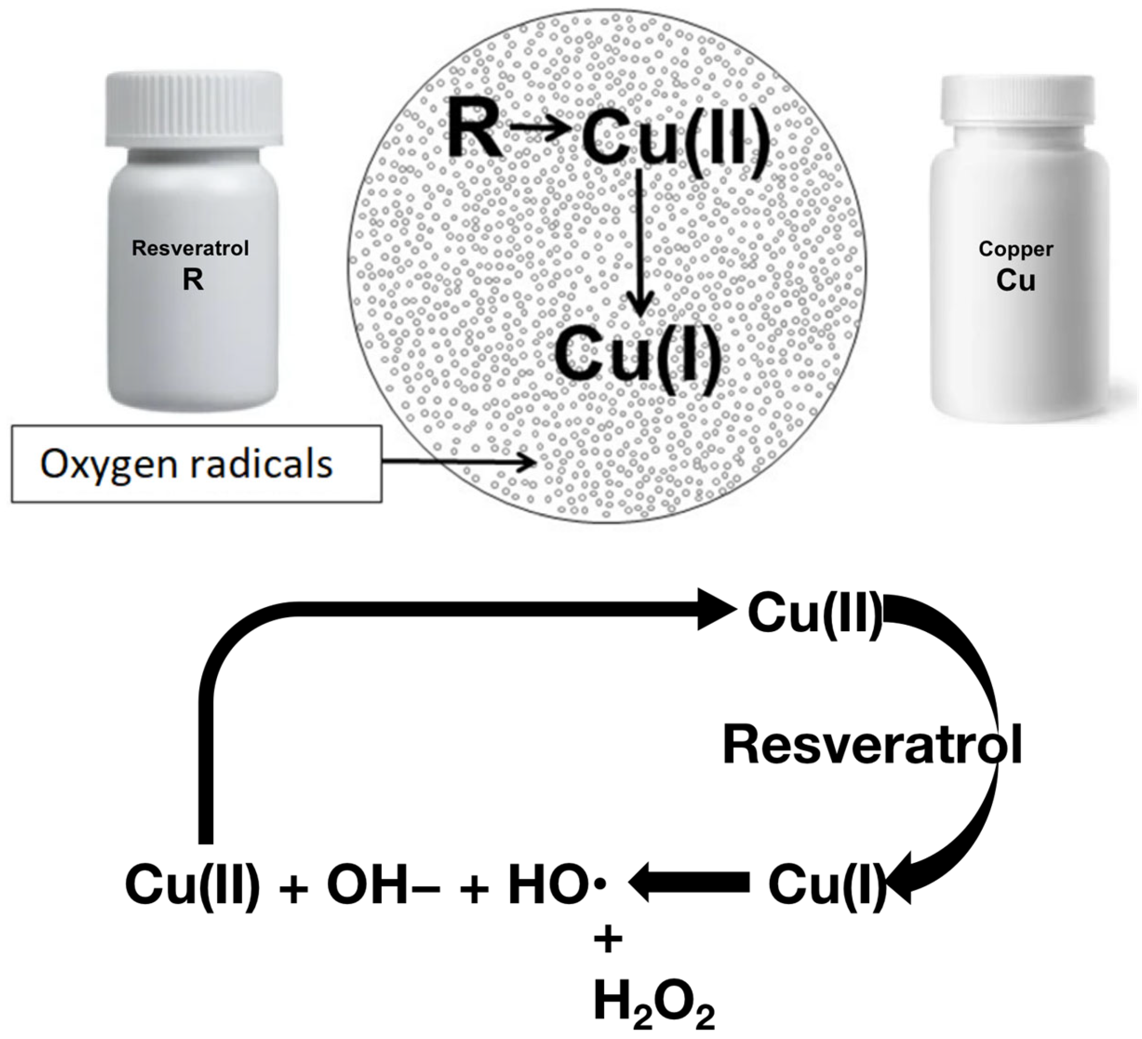Pharmaceuticals 18 00132 g001 Pharmaceuticals 18 00132 g001