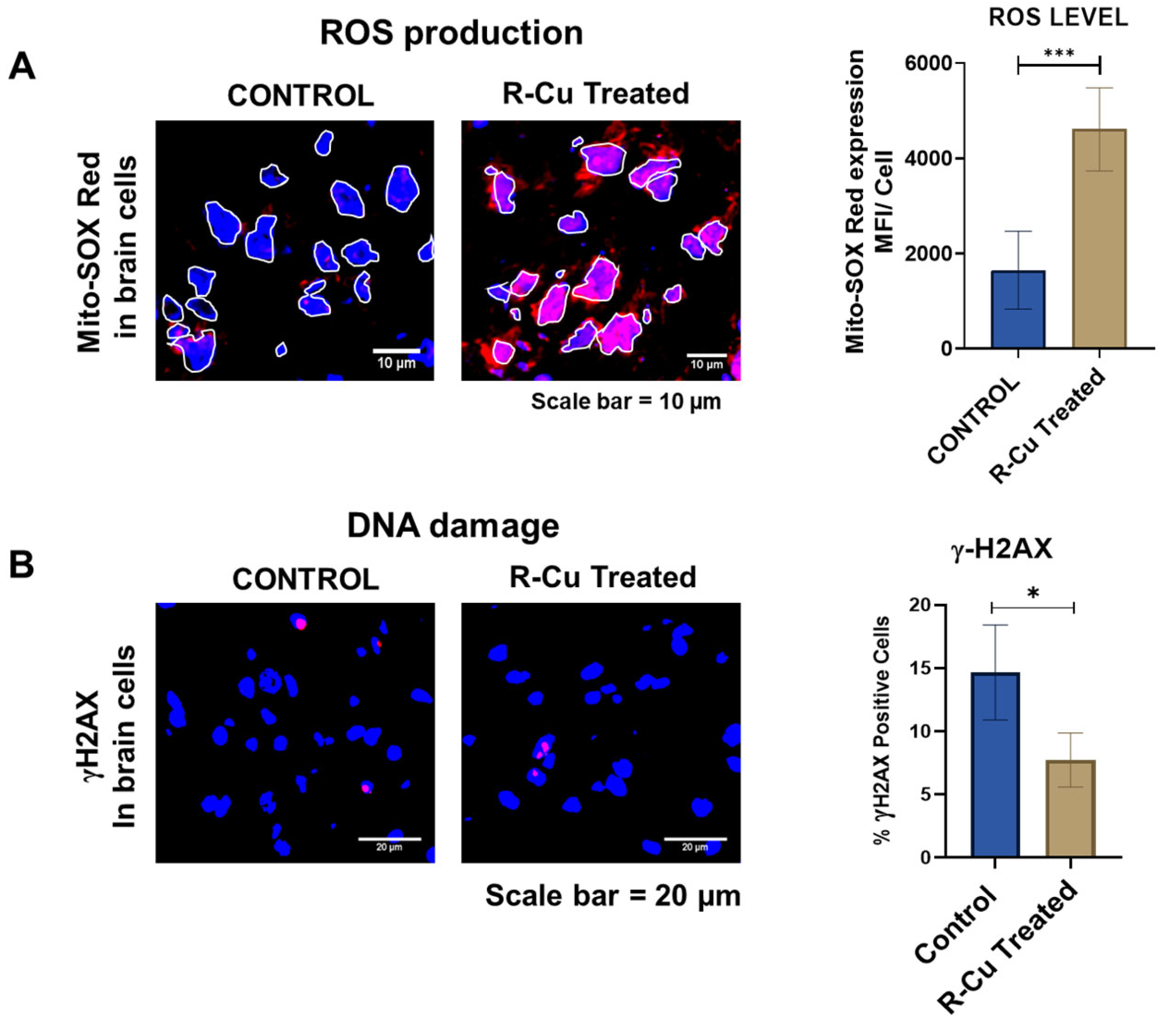 Pharmaceuticals 18 00132 g002 Pharmaceuticals 18 00132 g002