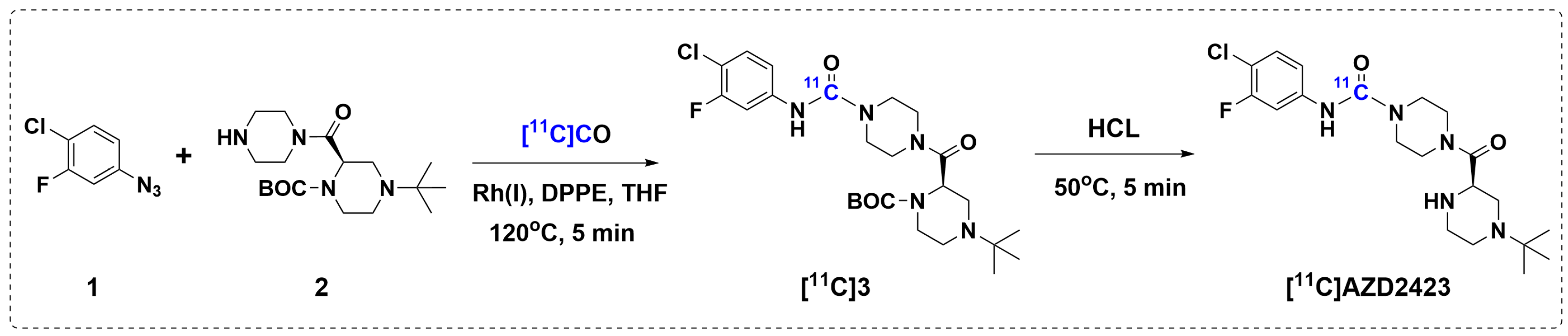 Pharmaceuticals 18 00135 g002