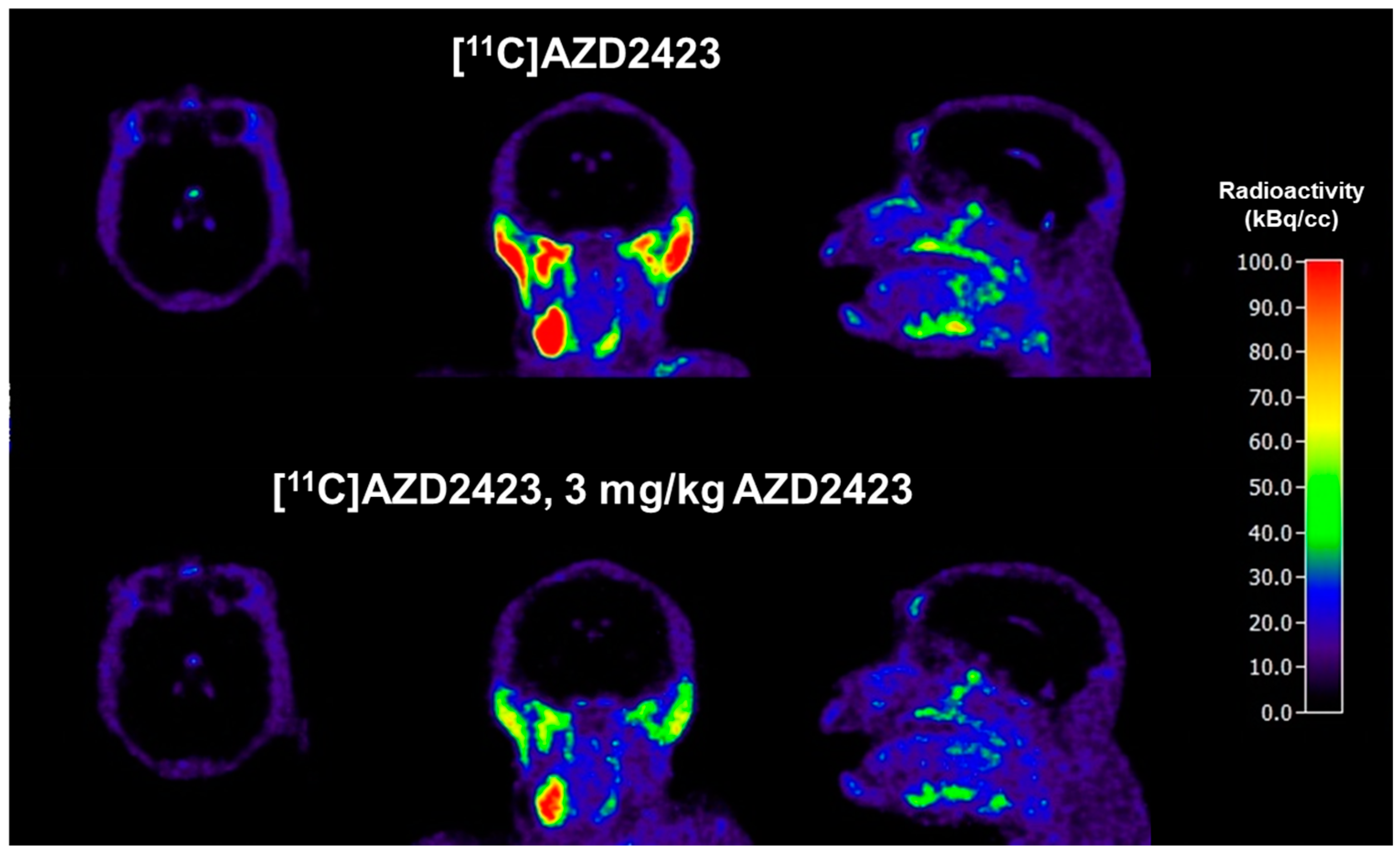 Pharmaceuticals 18 00135 g003