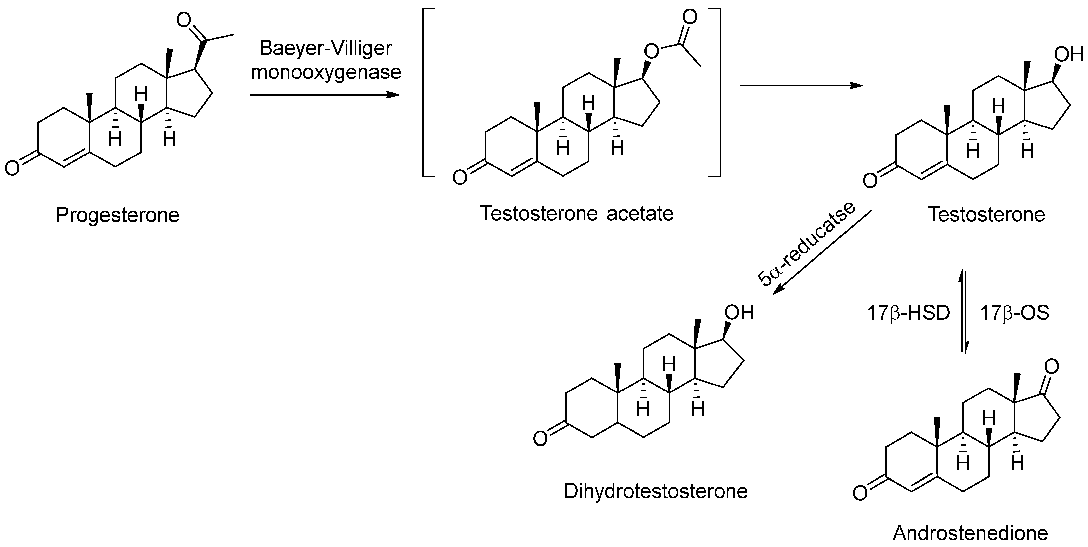 Pharmaceuticals 18 00136 g004