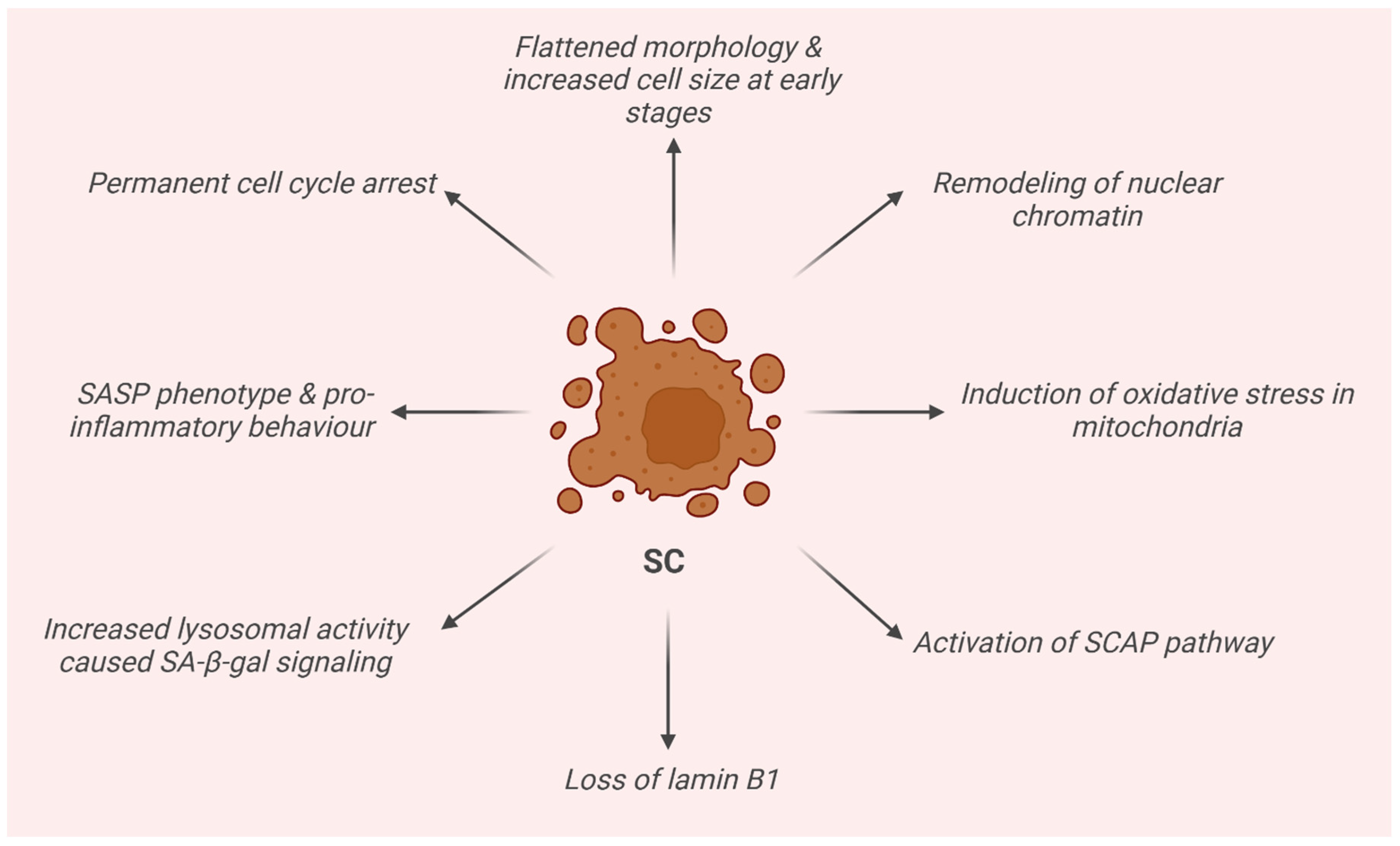 Pharmaceuticals 18 00138 g002