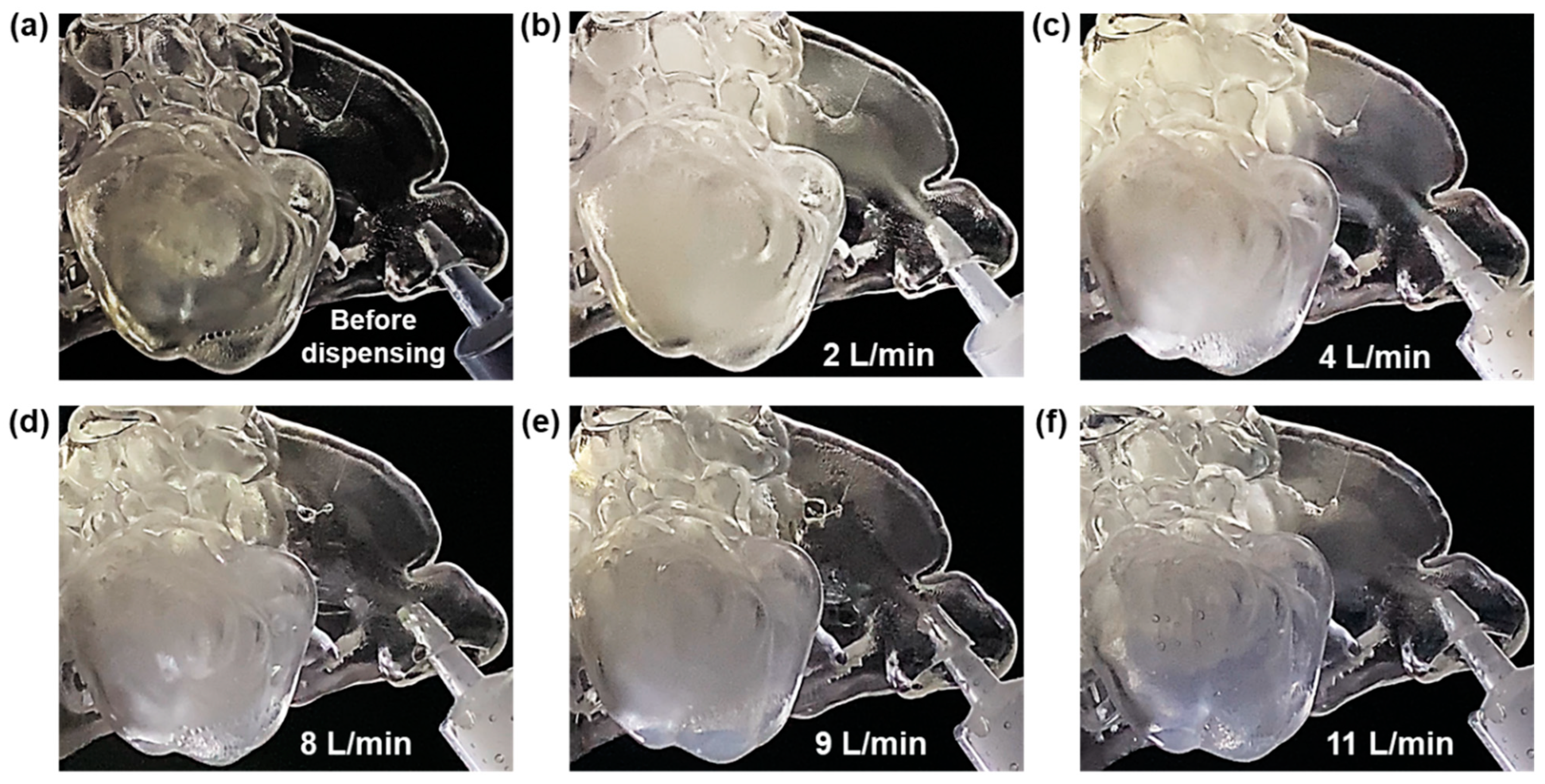 Pharmaceuticals 18 00142 g003 Pharmaceuticals 18 00142 g003