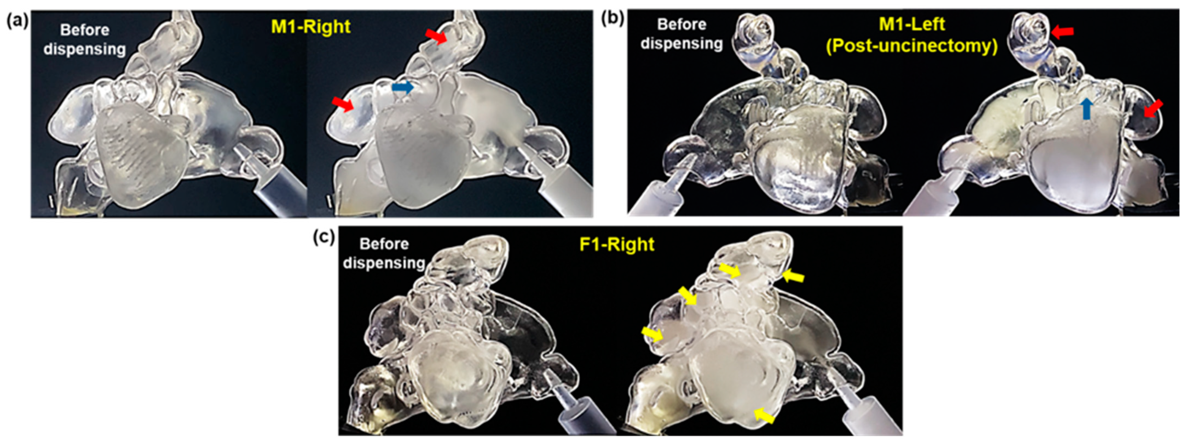 Pharmaceuticals 18 00142 g004 Pharmaceuticals 18 00142 g004