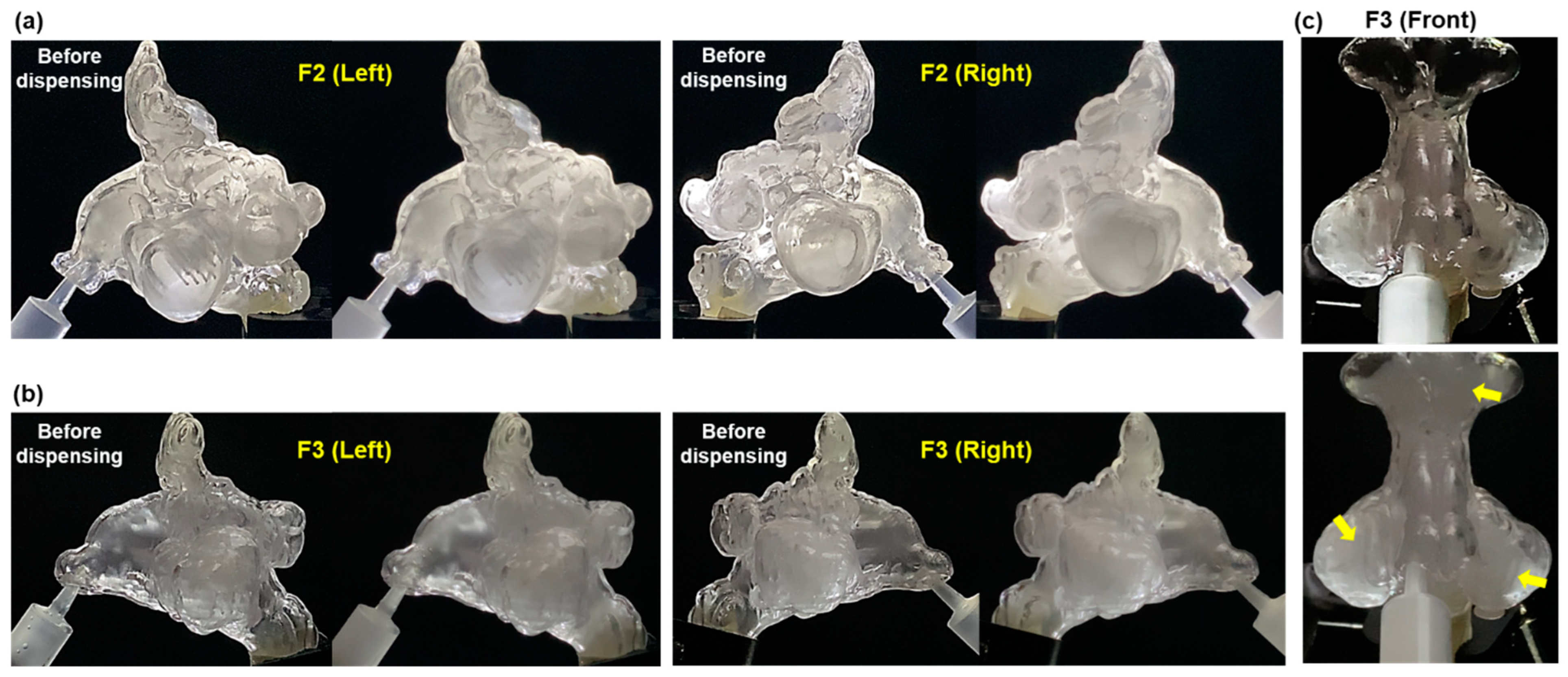 Pharmaceuticals 18 00142 g005 Pharmaceuticals 18 00142 g005