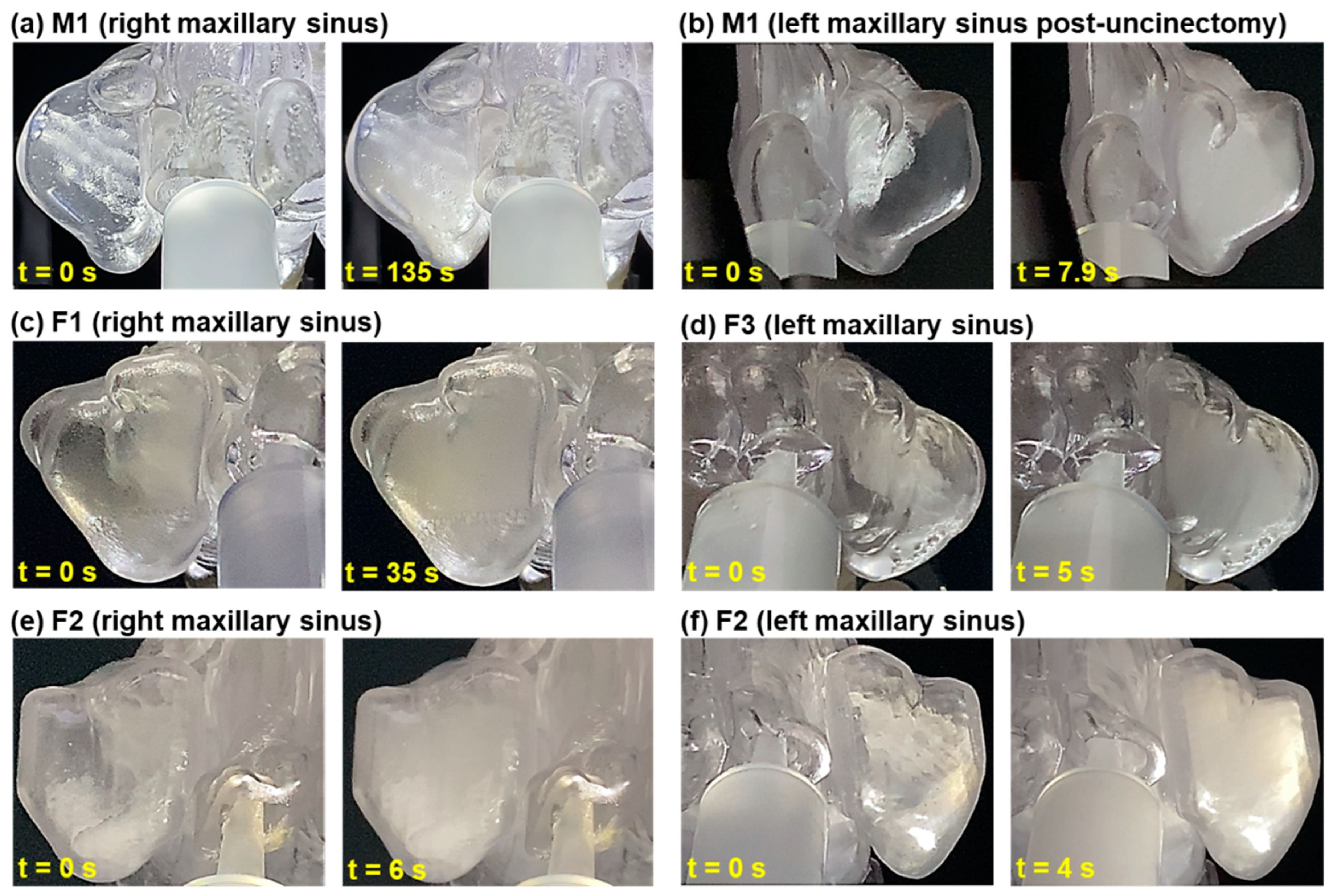 Pharmaceuticals 18 00142 g006 Pharmaceuticals 18 00142 g006