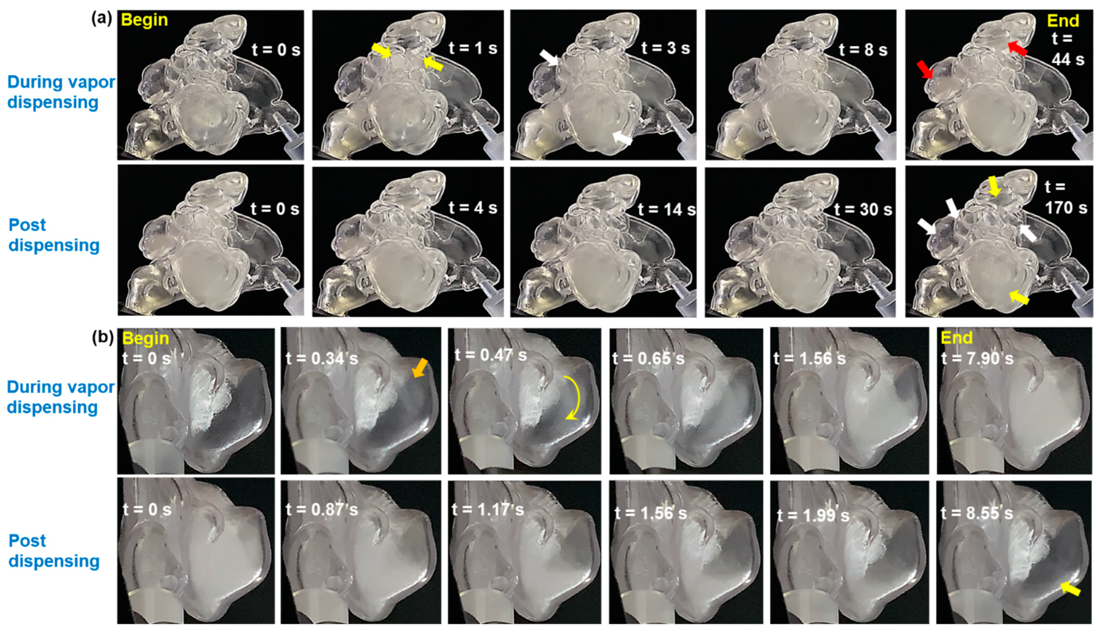 Pharmaceuticals 18 00142 g007 Pharmaceuticals 18 00142 g007
