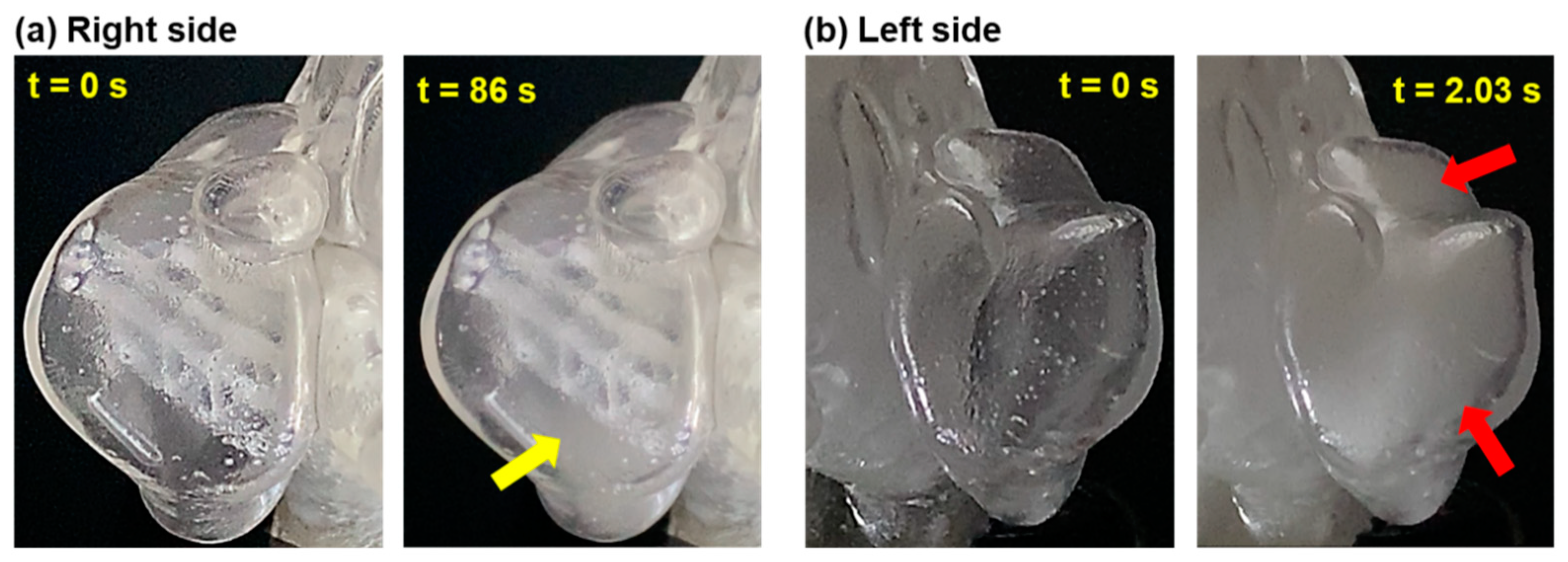 Pharmaceuticals 18 00142 g008 Pharmaceuticals 18 00142 g008