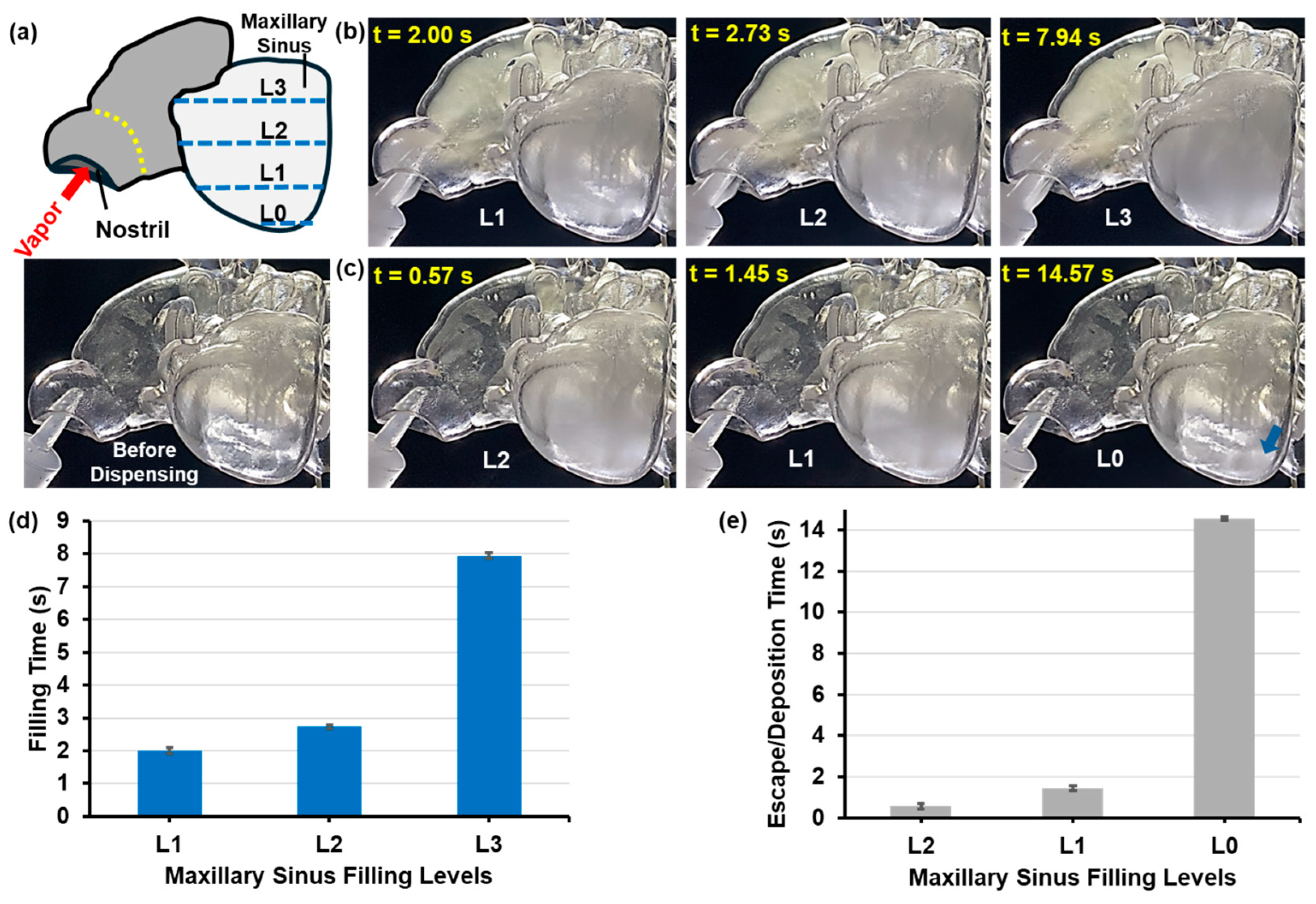 Pharmaceuticals 18 00142 g010 Pharmaceuticals 18 00142 g010