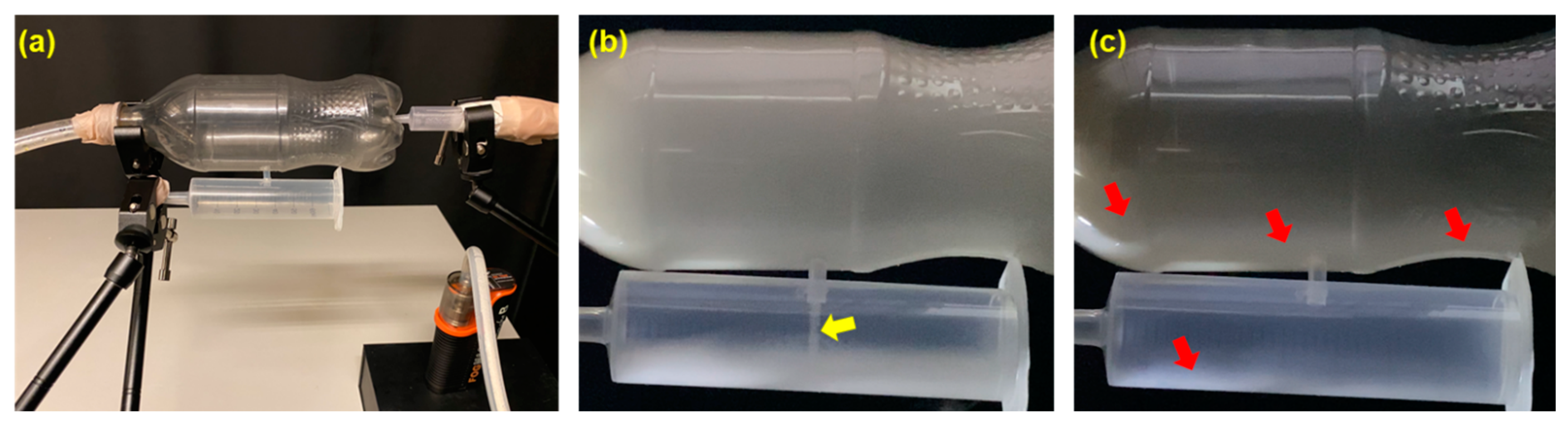 Pharmaceuticals 18 00142 g011 Pharmaceuticals 18 00142 g011