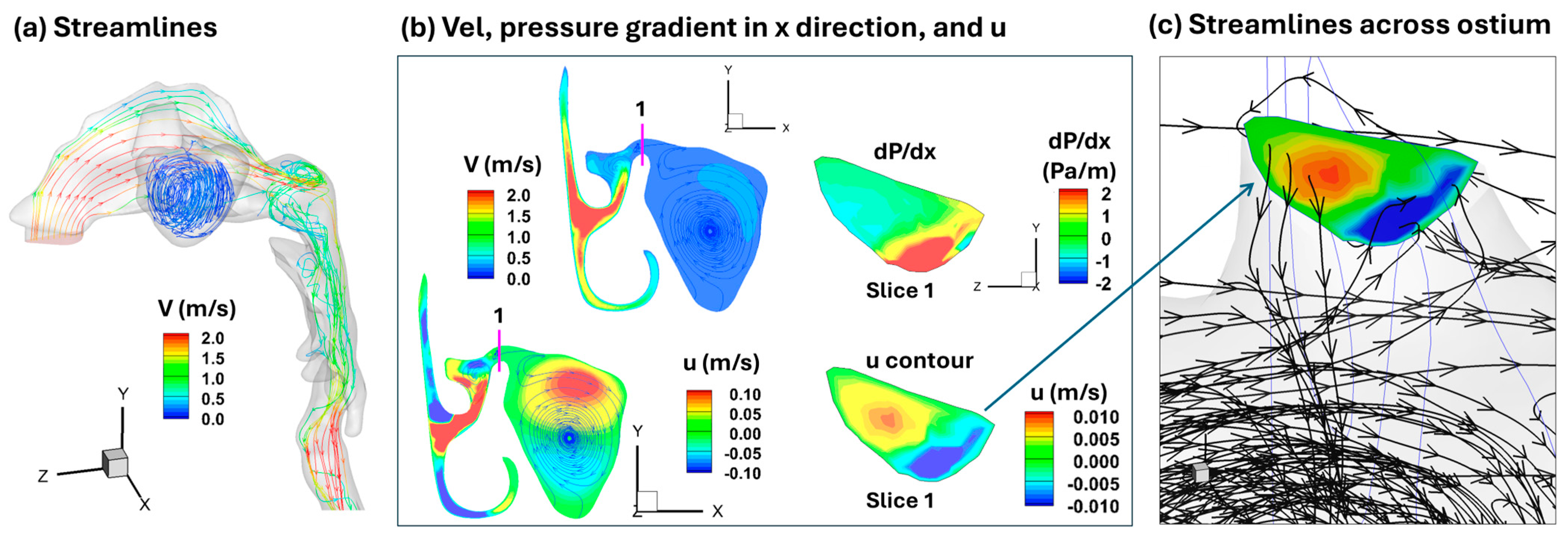 Pharmaceuticals 18 00142 g012 Pharmaceuticals 18 00142 g012