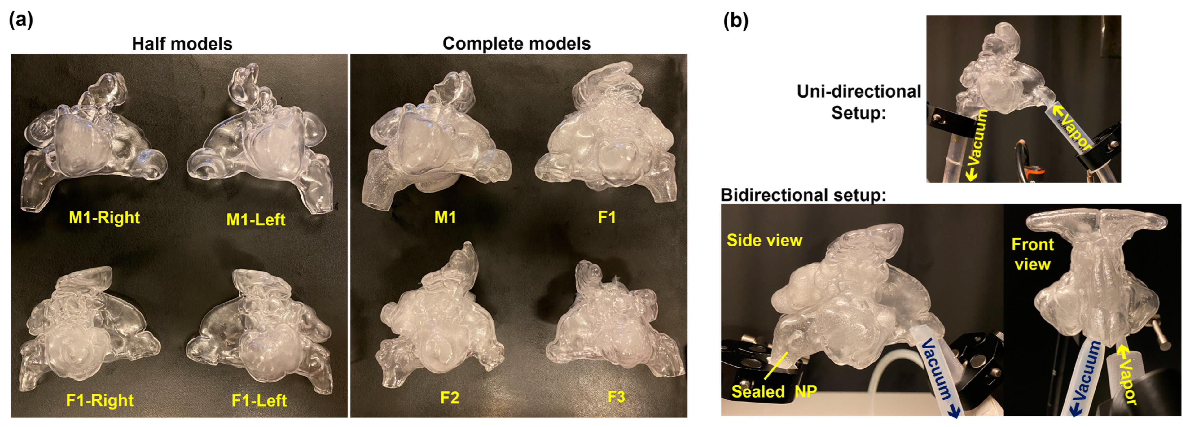Pharmaceuticals 18 00142 g014 Pharmaceuticals 18 00142 g014