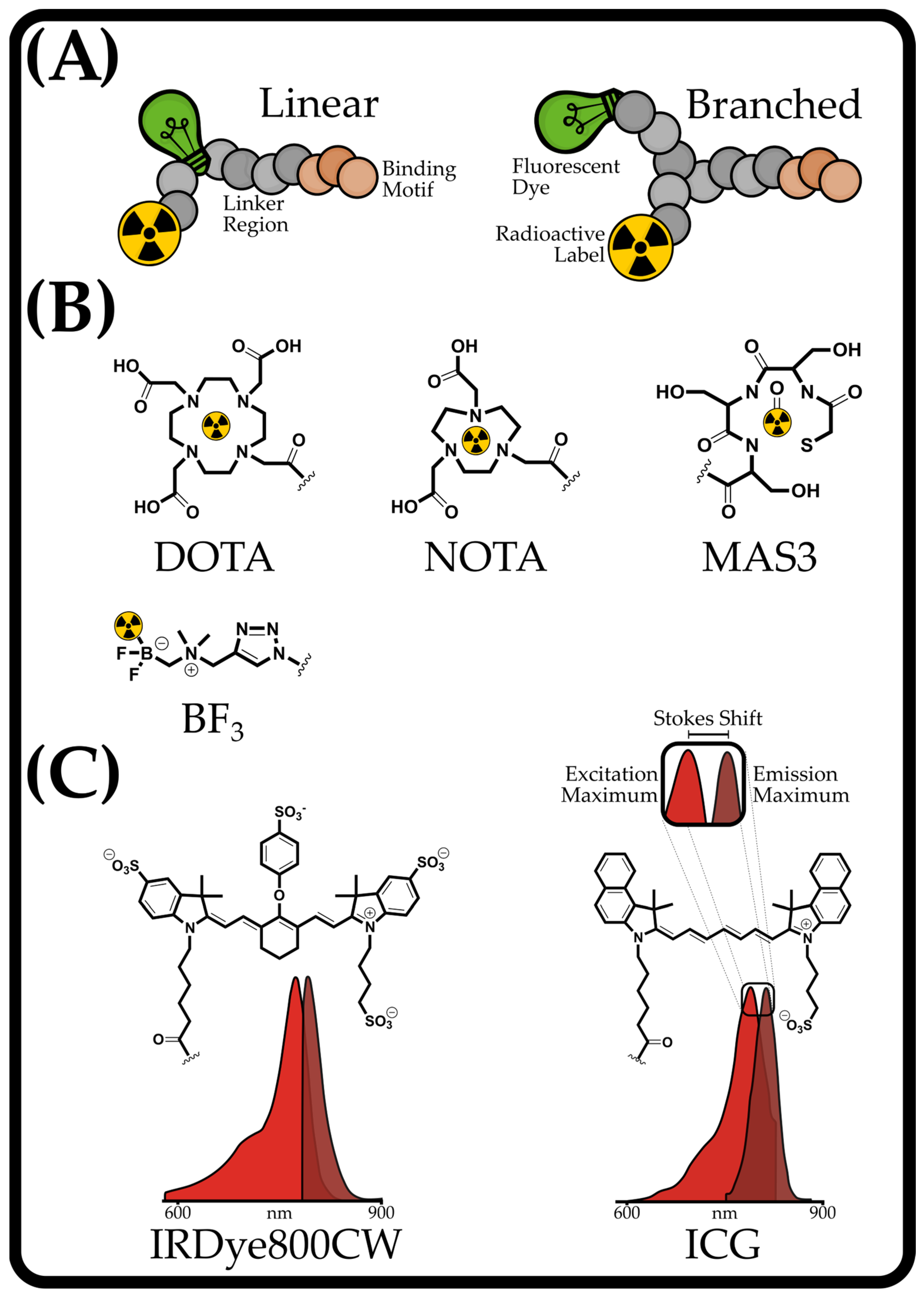 Pharmaceuticals 18 00143 g001 Pharmaceuticals 18 00143 g001