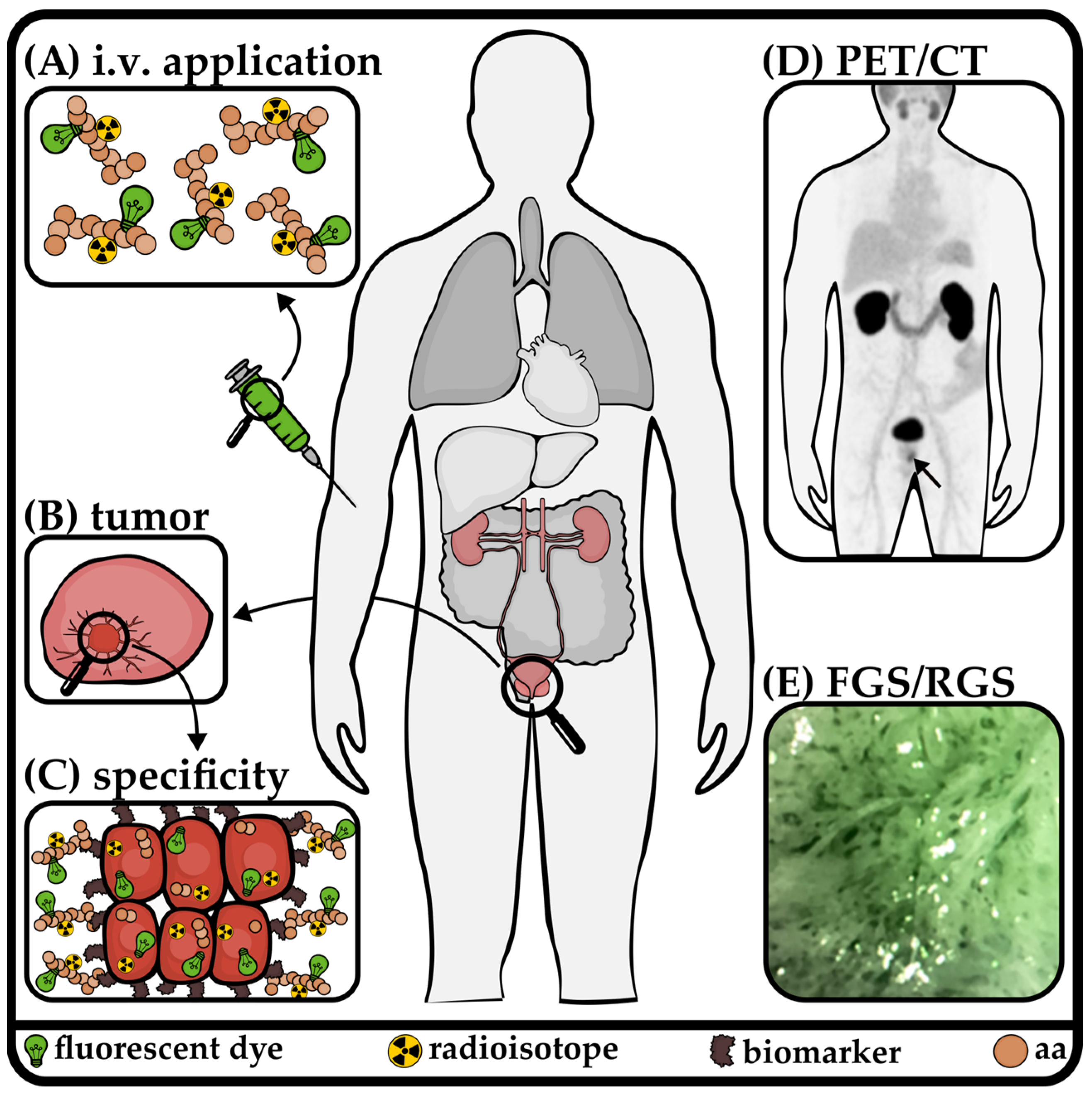 Pharmaceuticals 18 00143 g003 Pharmaceuticals 18 00143 g003