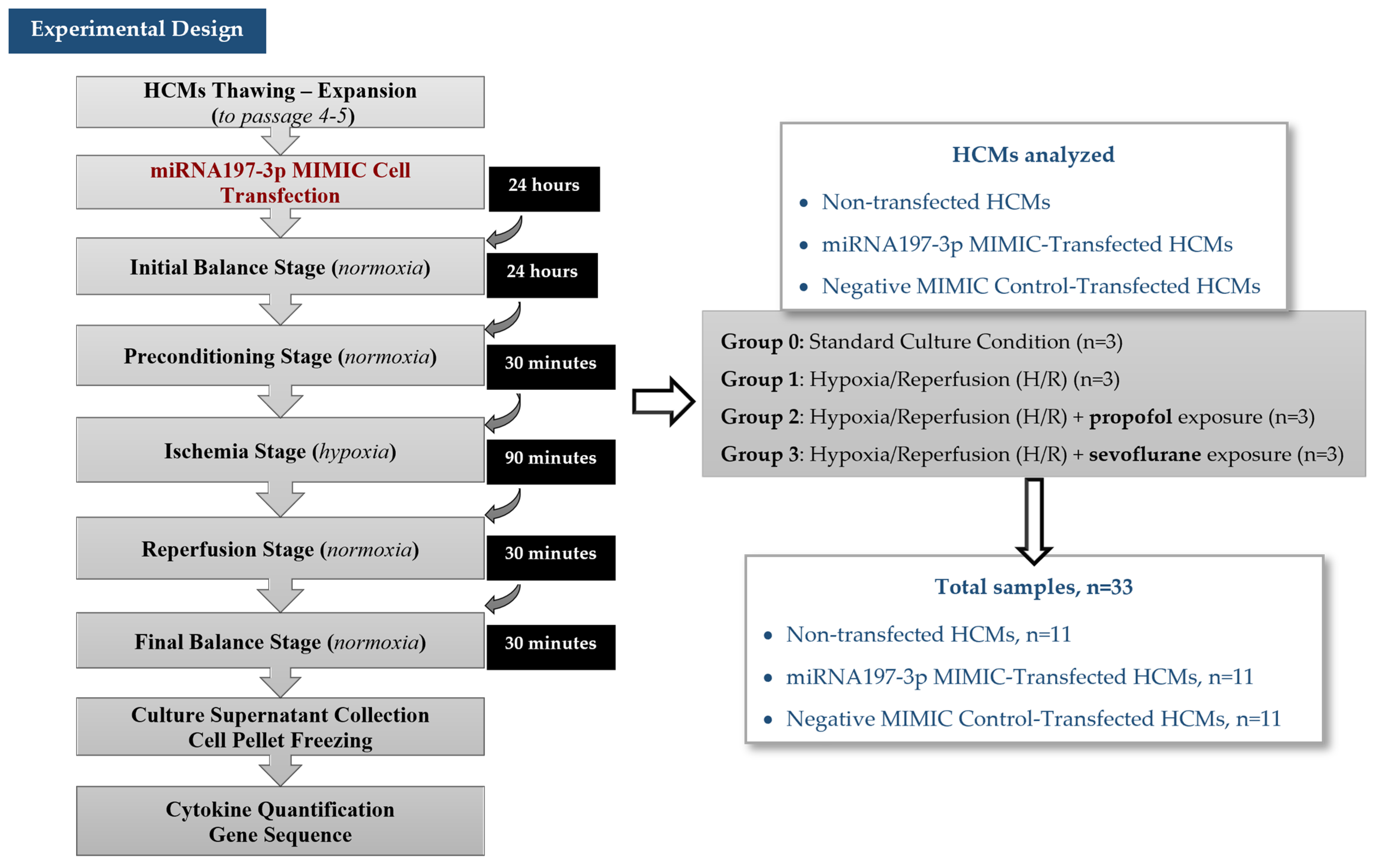Pharmaceuticals 18 00146 g006