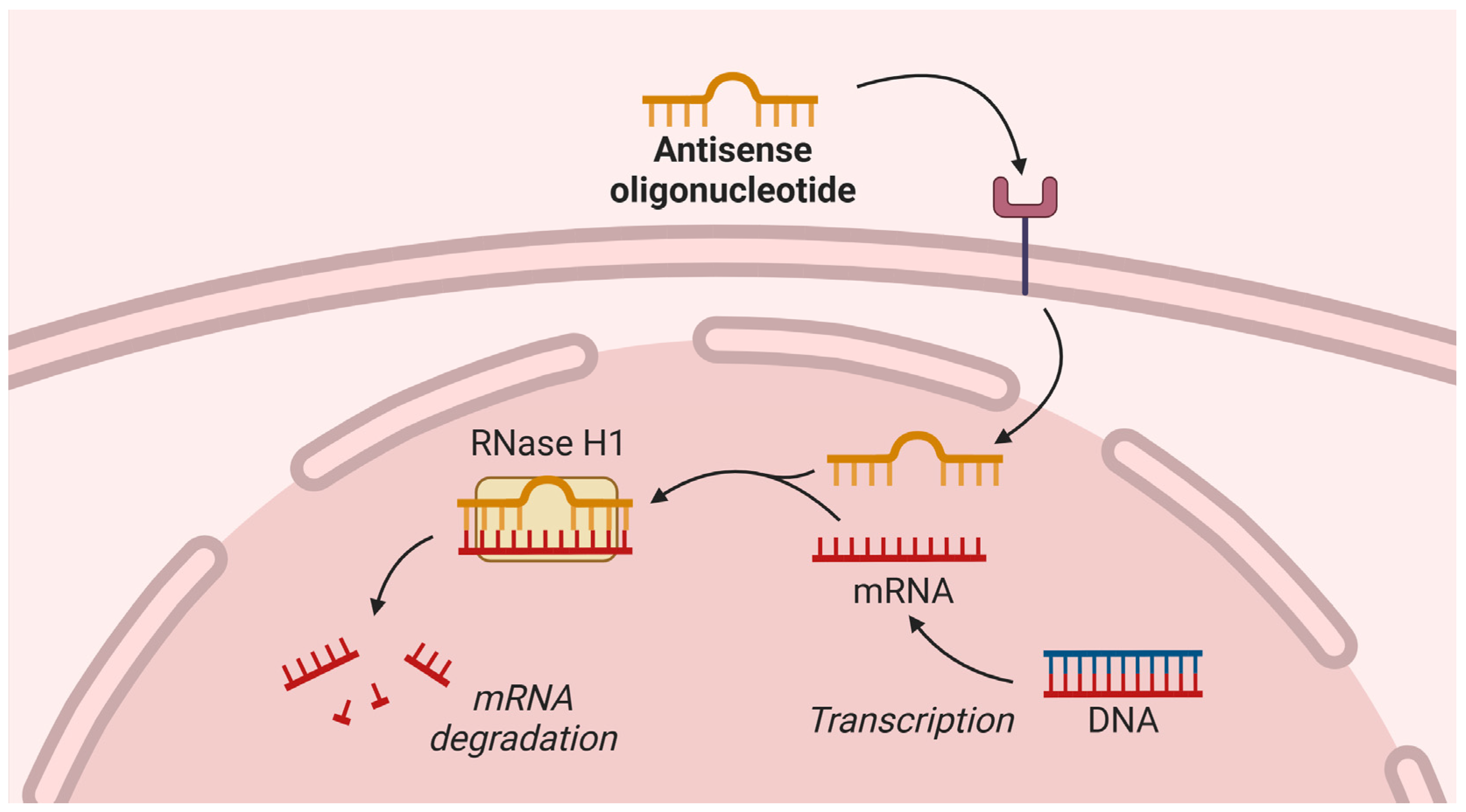 Pharmaceuticals 18 00147 g002