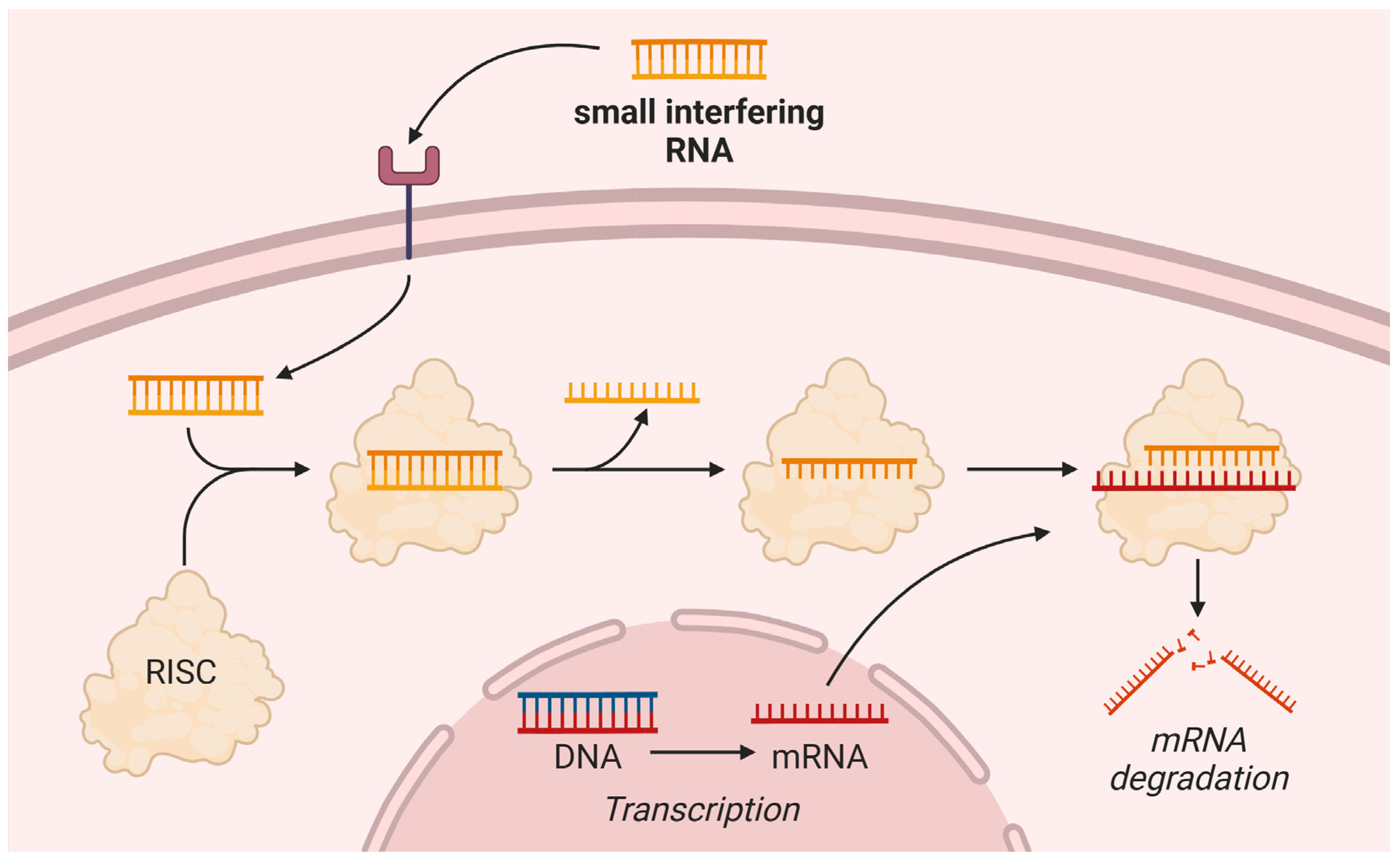 Pharmaceuticals 18 00147 g003