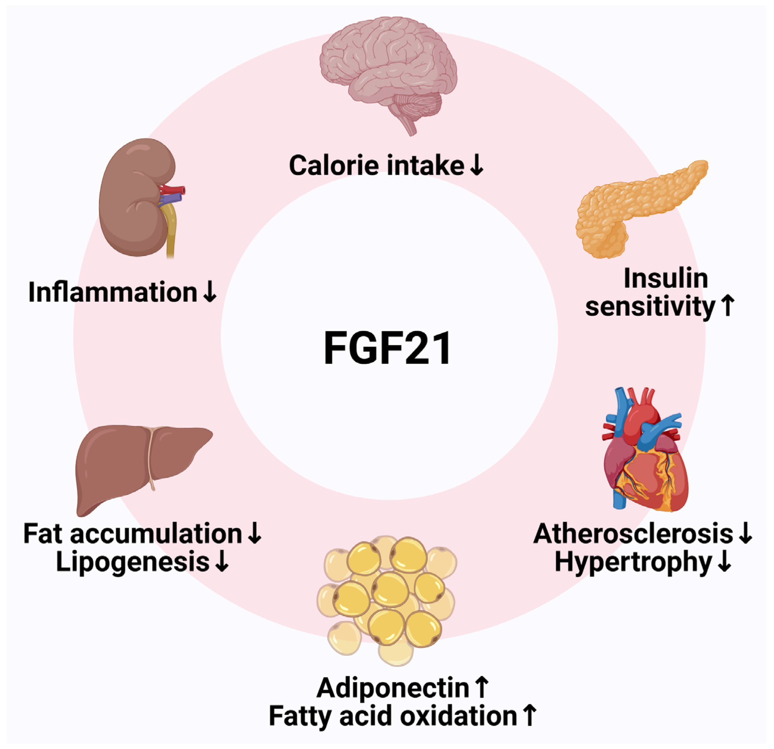Pharmaceuticals 18 00147 g004