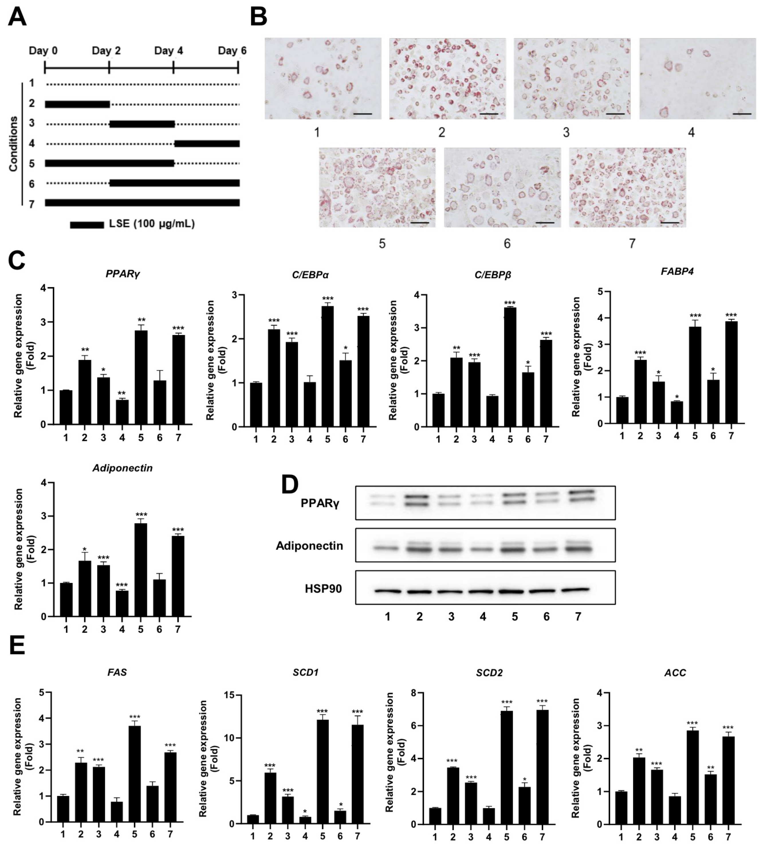 Pharmaceuticals 18 00150 g002