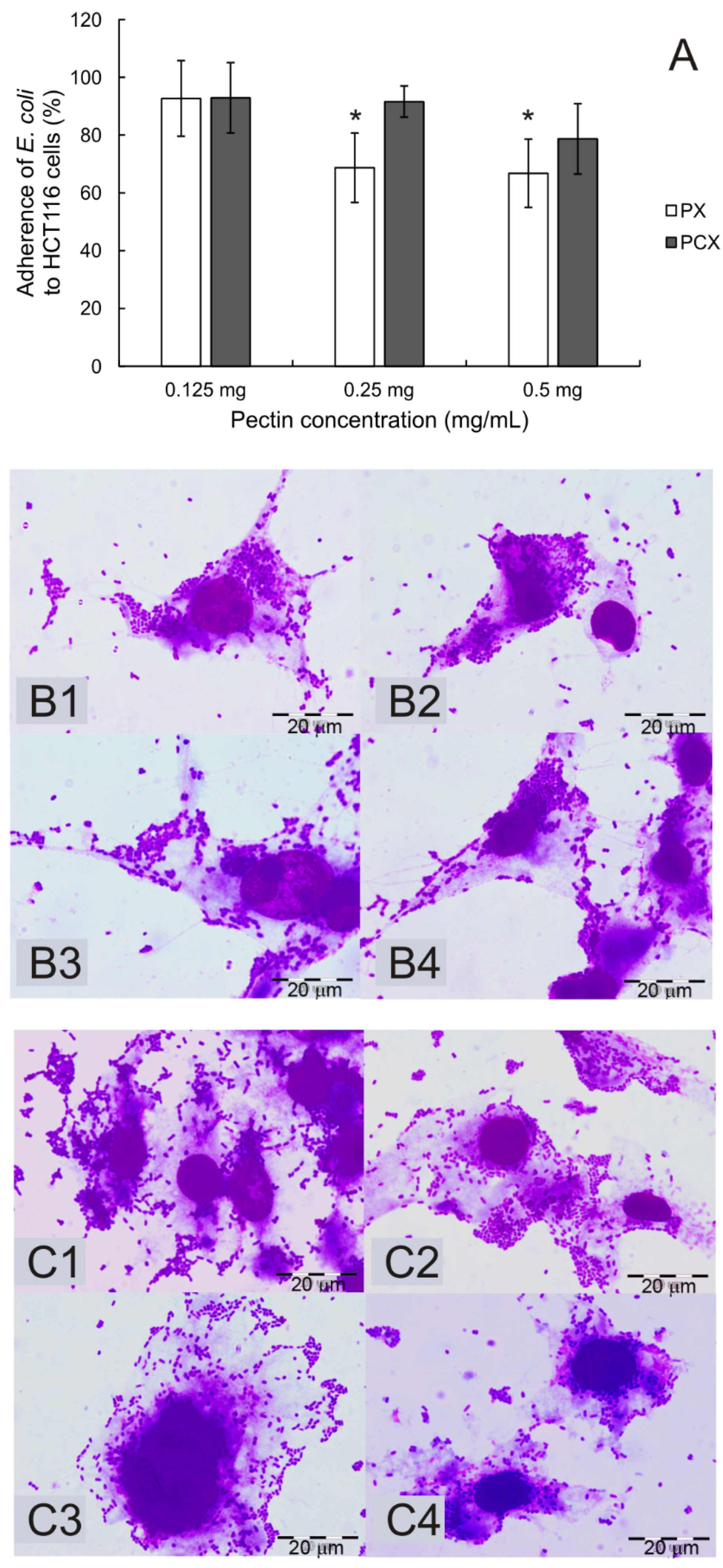 Pharmaceuticals 18 00152 g001