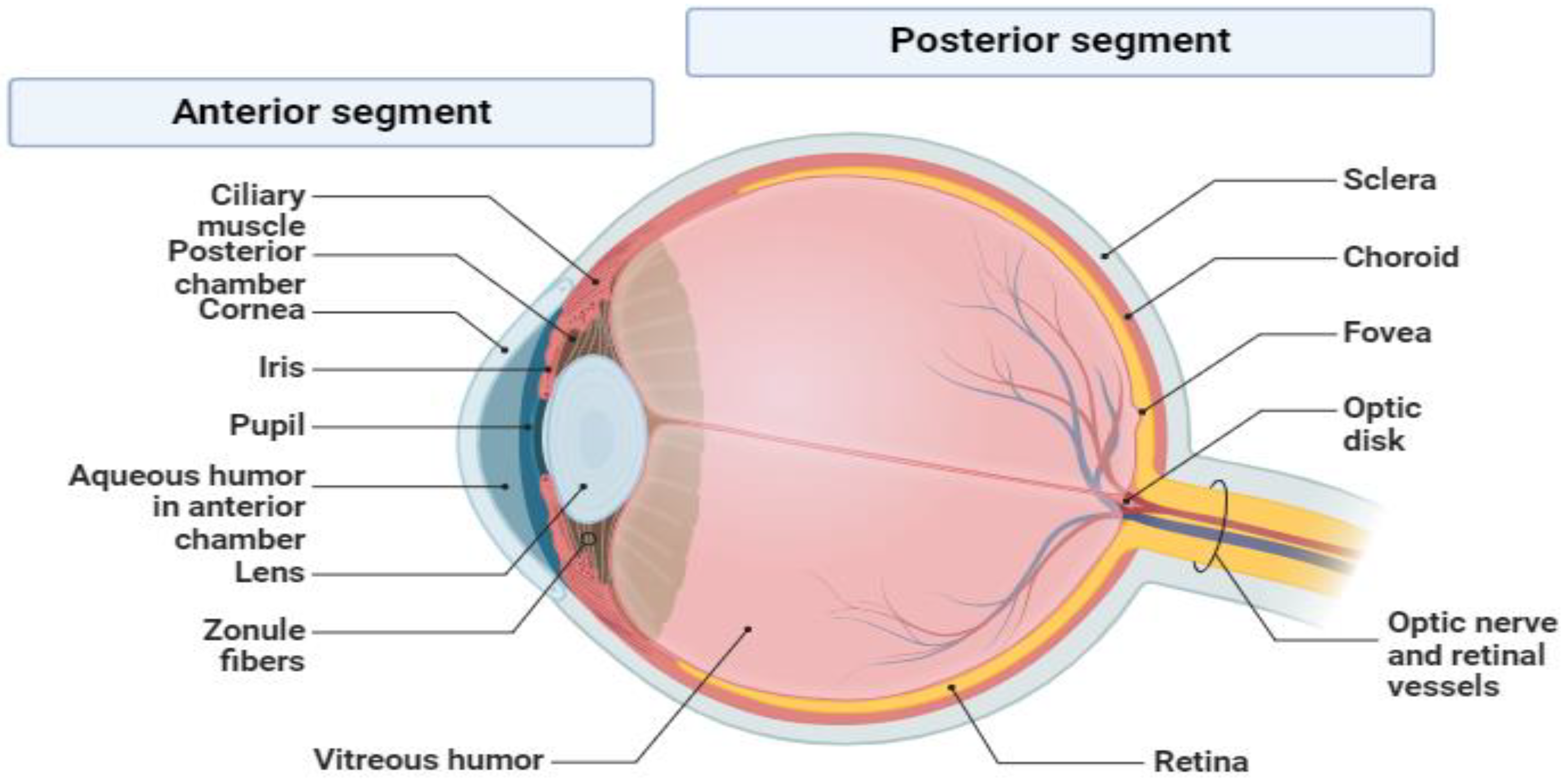 Pharmaceuticals 18 00155 g001 Pharmaceuticals 18 00155 g001