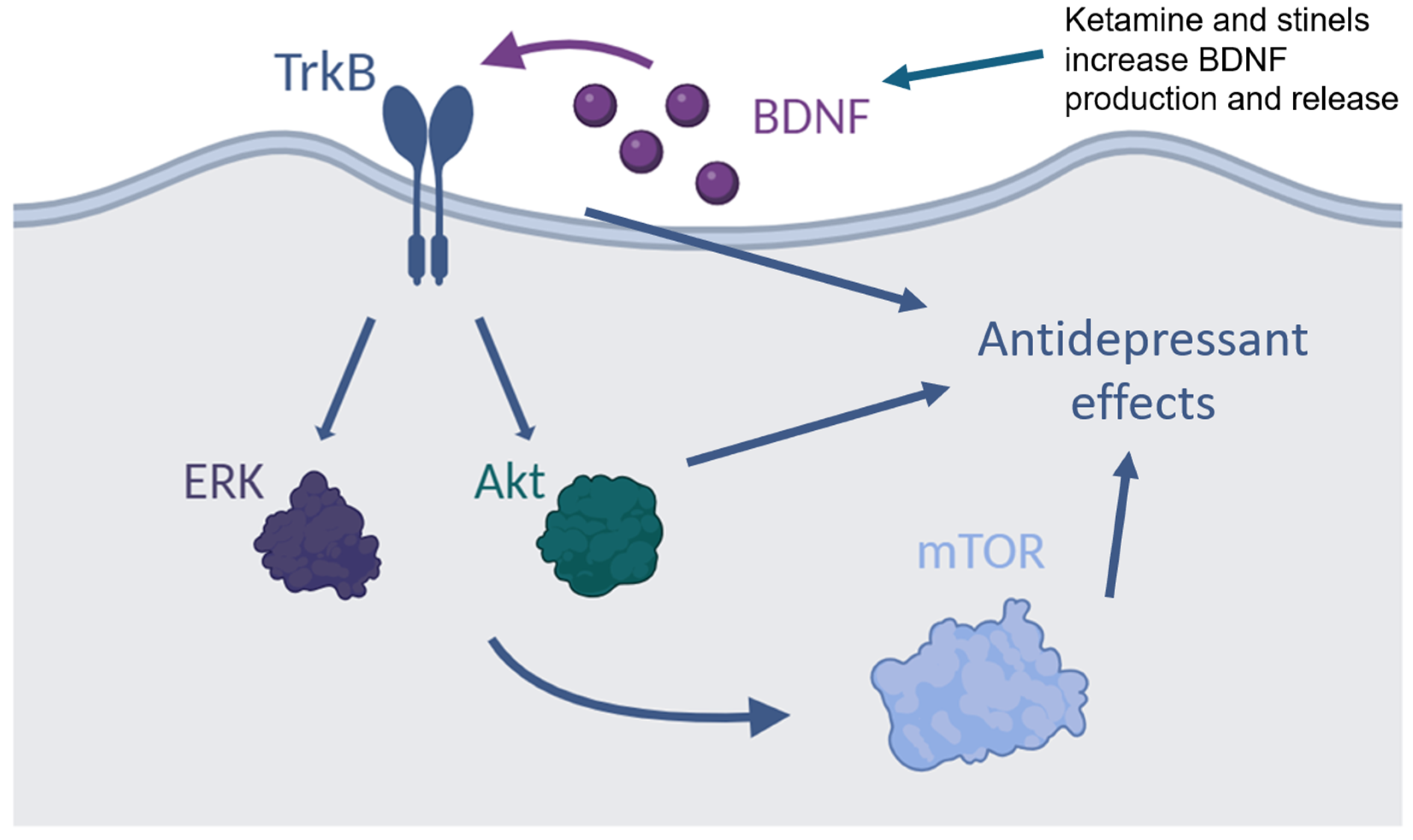 Pharmaceuticals 18 00157 g003