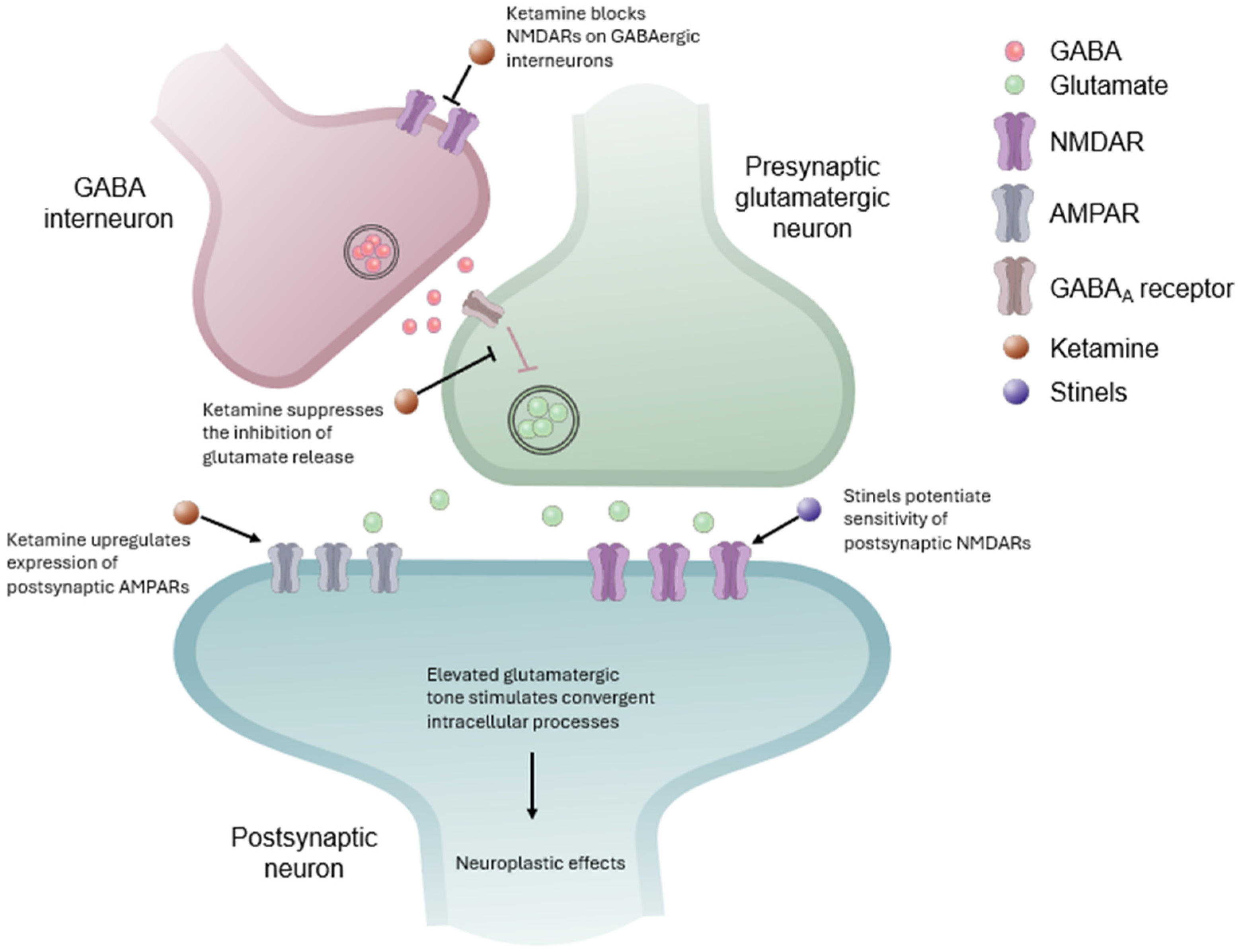 Pharmaceuticals 18 00157 g004
