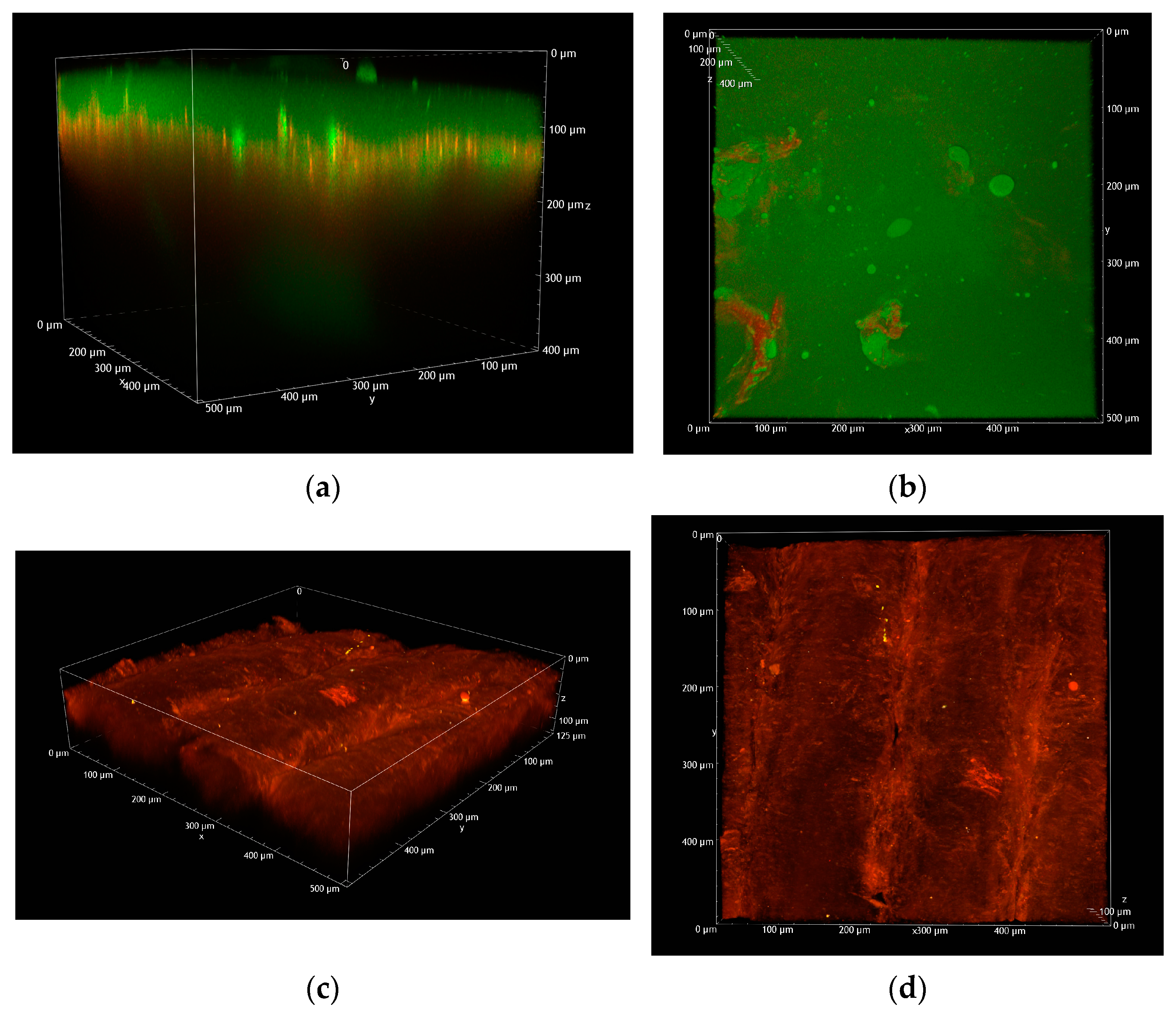 Pharmaceuticals 18 00158 g004
