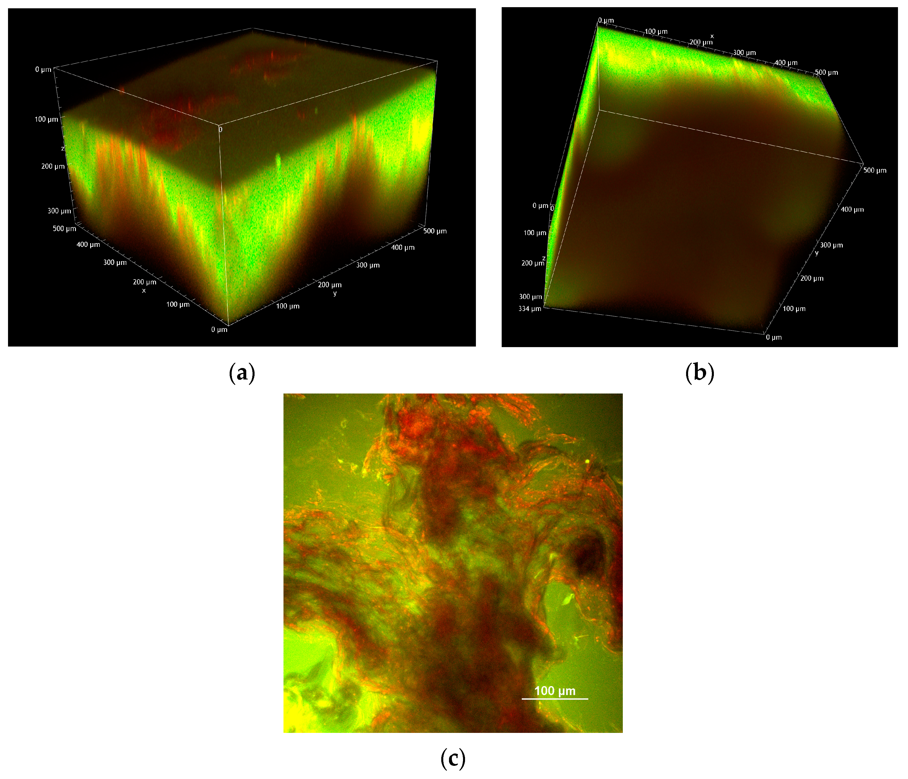 Pharmaceuticals 18 00158 g006