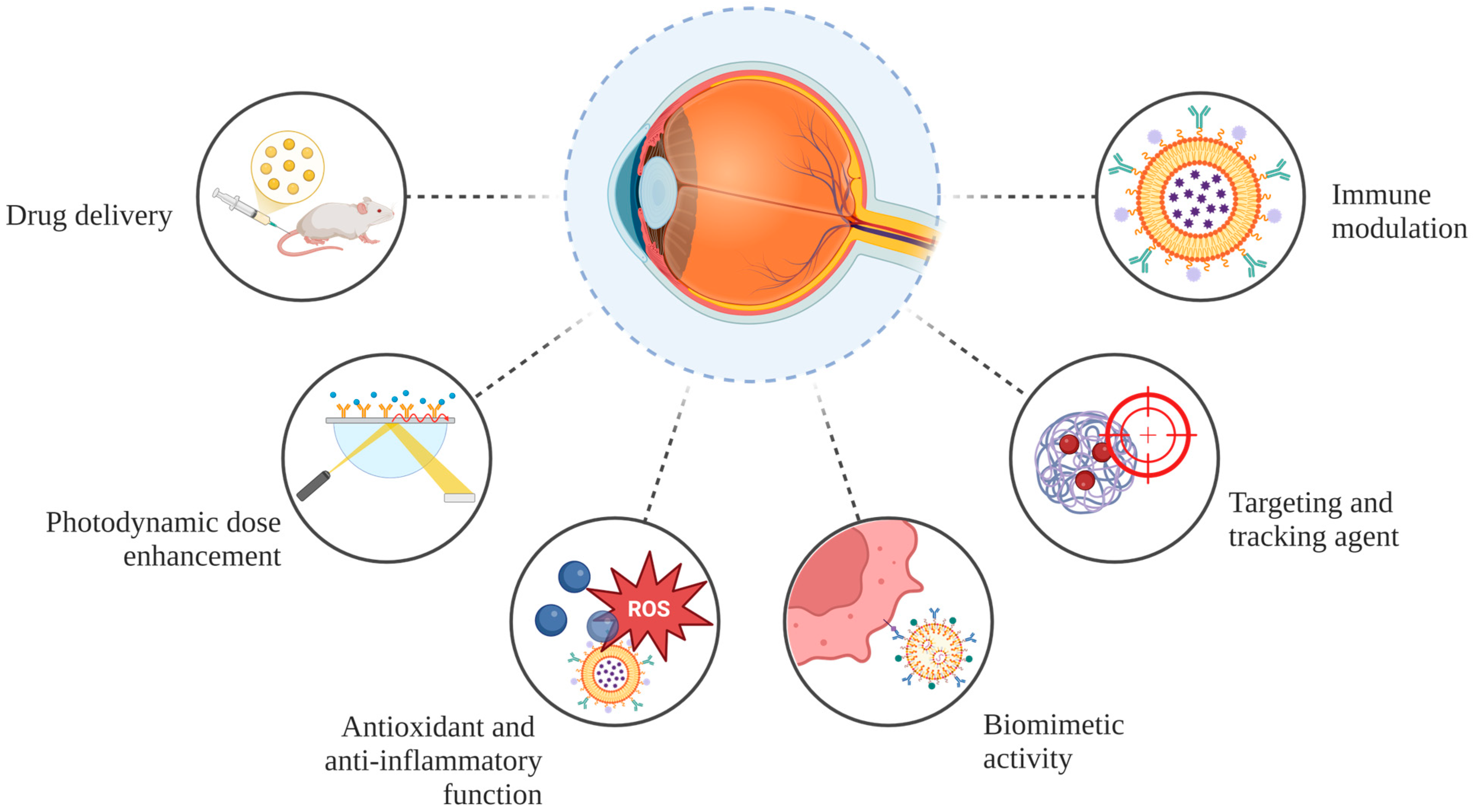 Pharmaceuticals 18 00162 g003