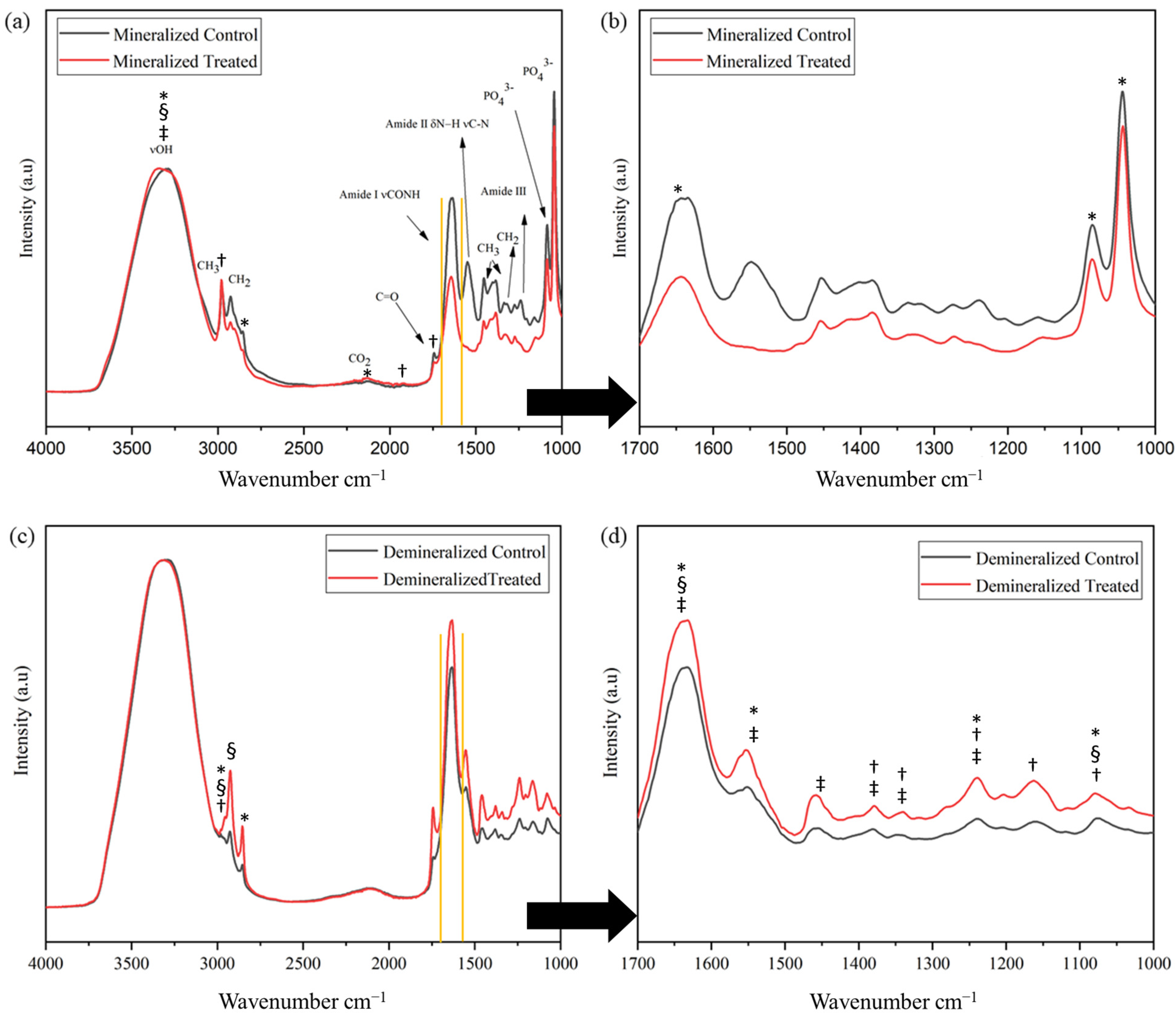 Pharmaceuticals 18 00164 g003 Pharmaceuticals 18 00164 g003