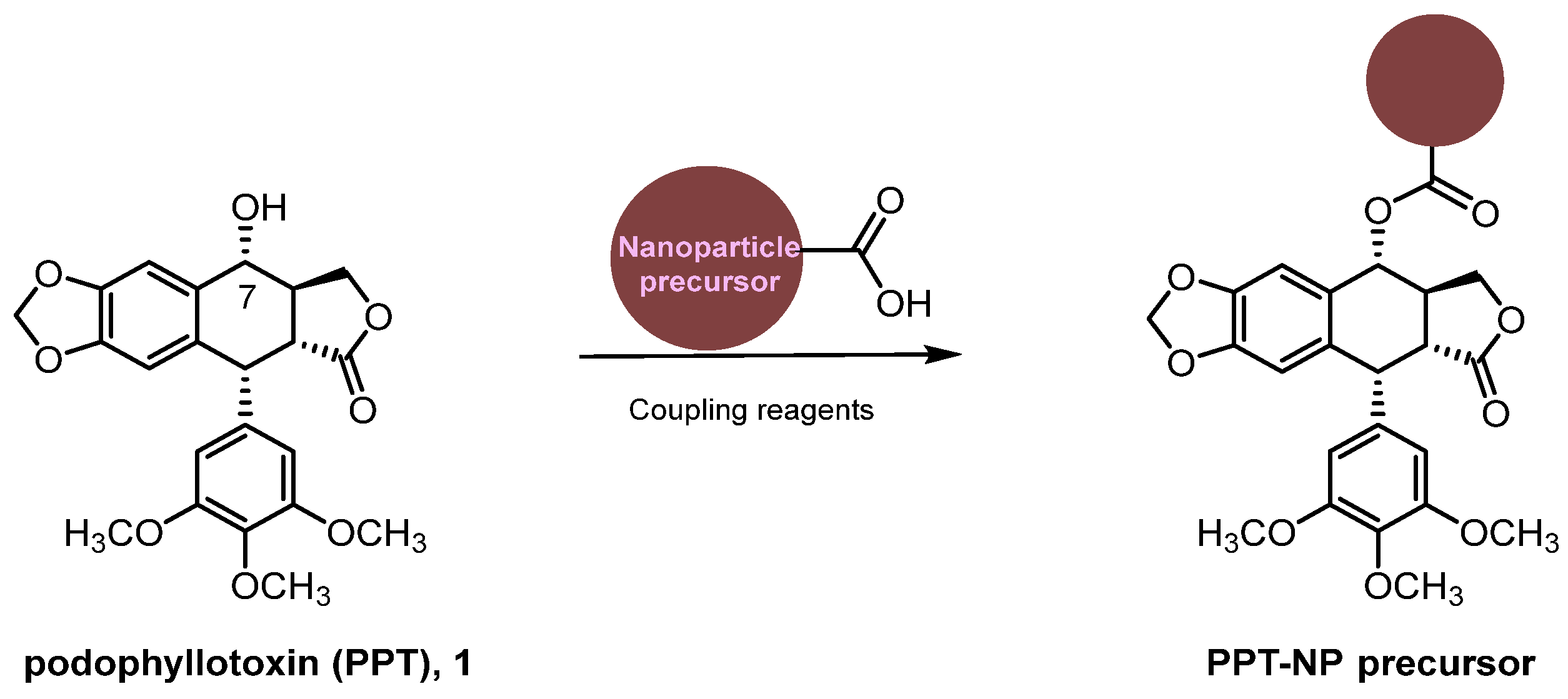Pharmaceuticals 18 00169 sch001