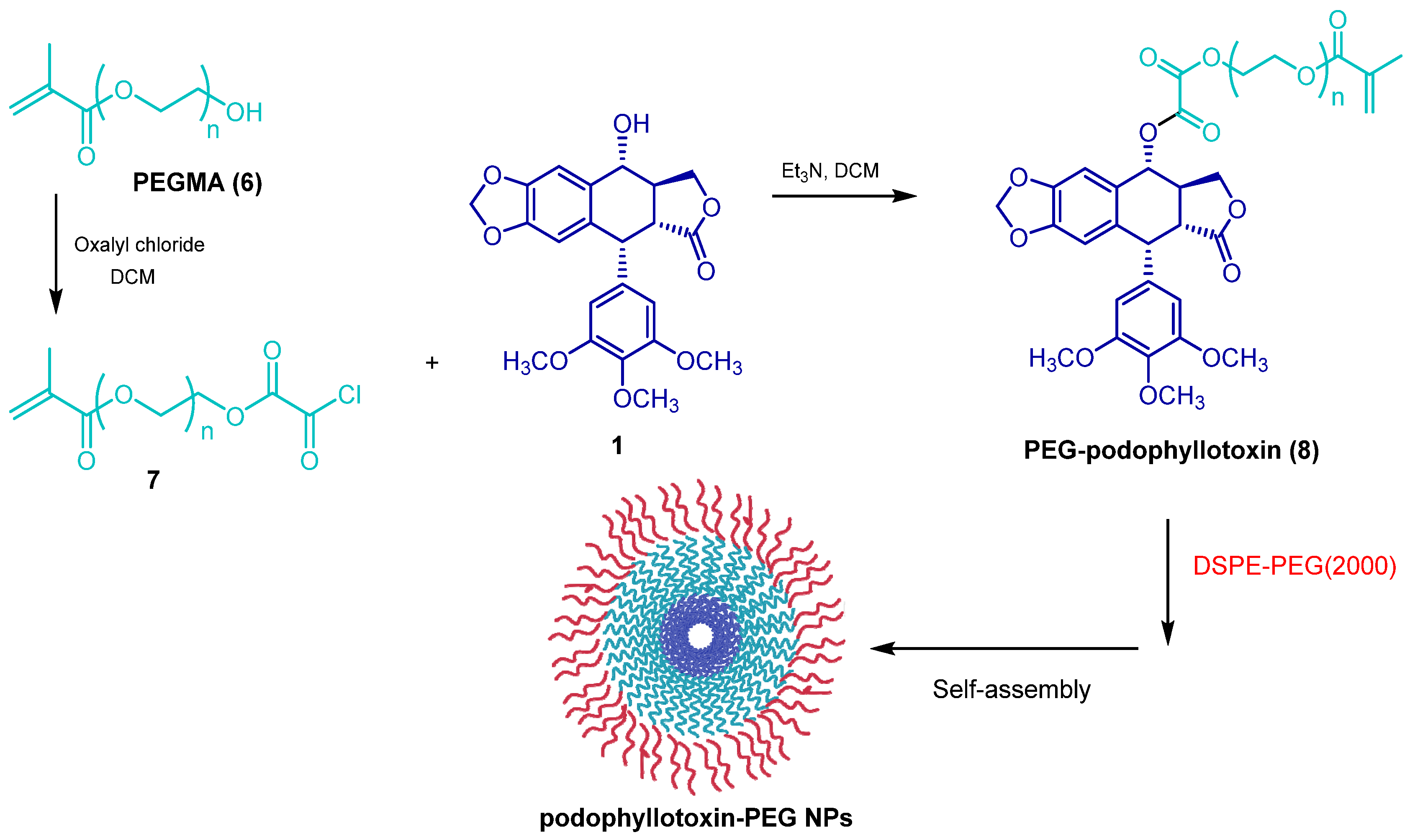 Pharmaceuticals 18 00169 sch002