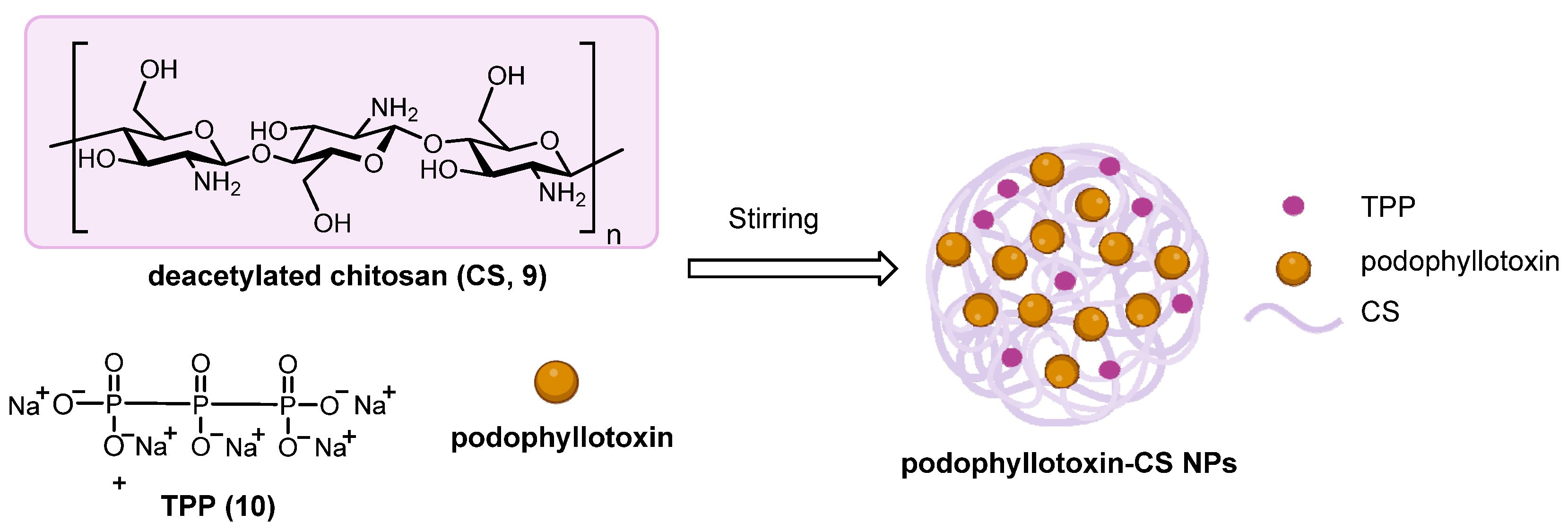 Pharmaceuticals 18 00169 sch003