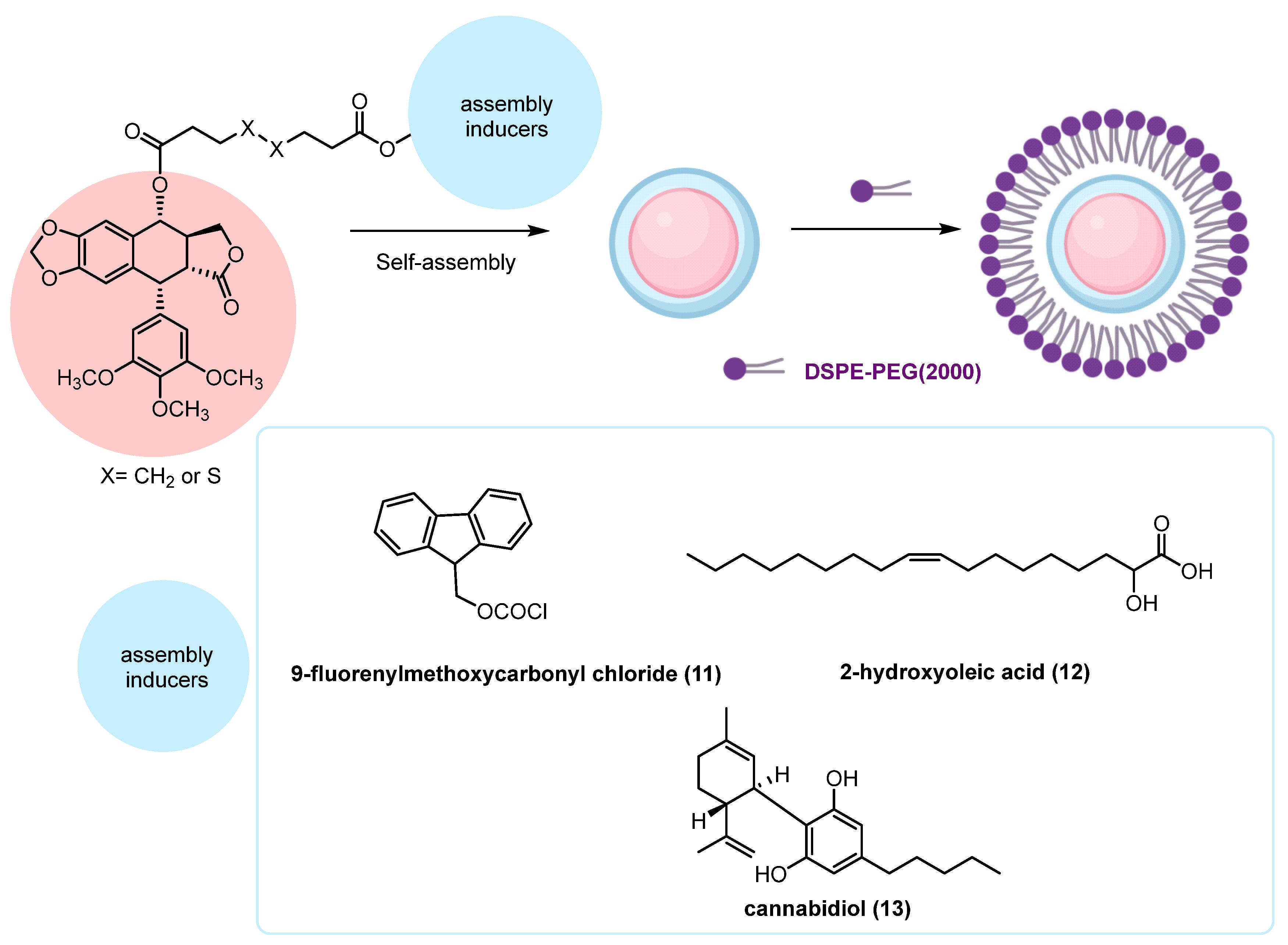 Pharmaceuticals 18 00169 sch004