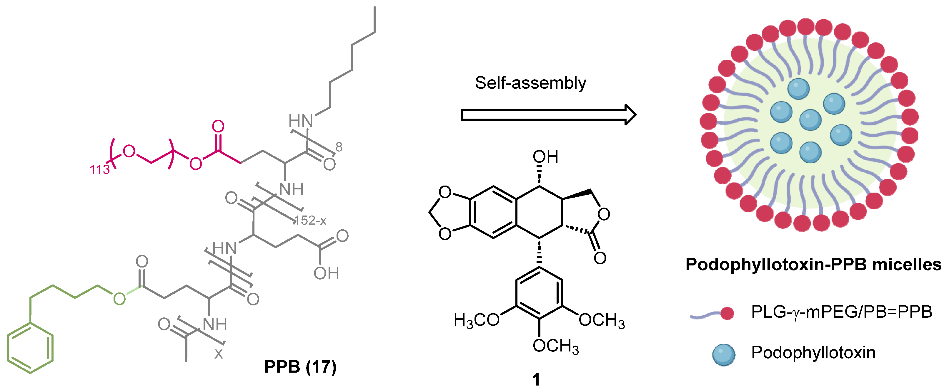 Pharmaceuticals 18 00169 sch006