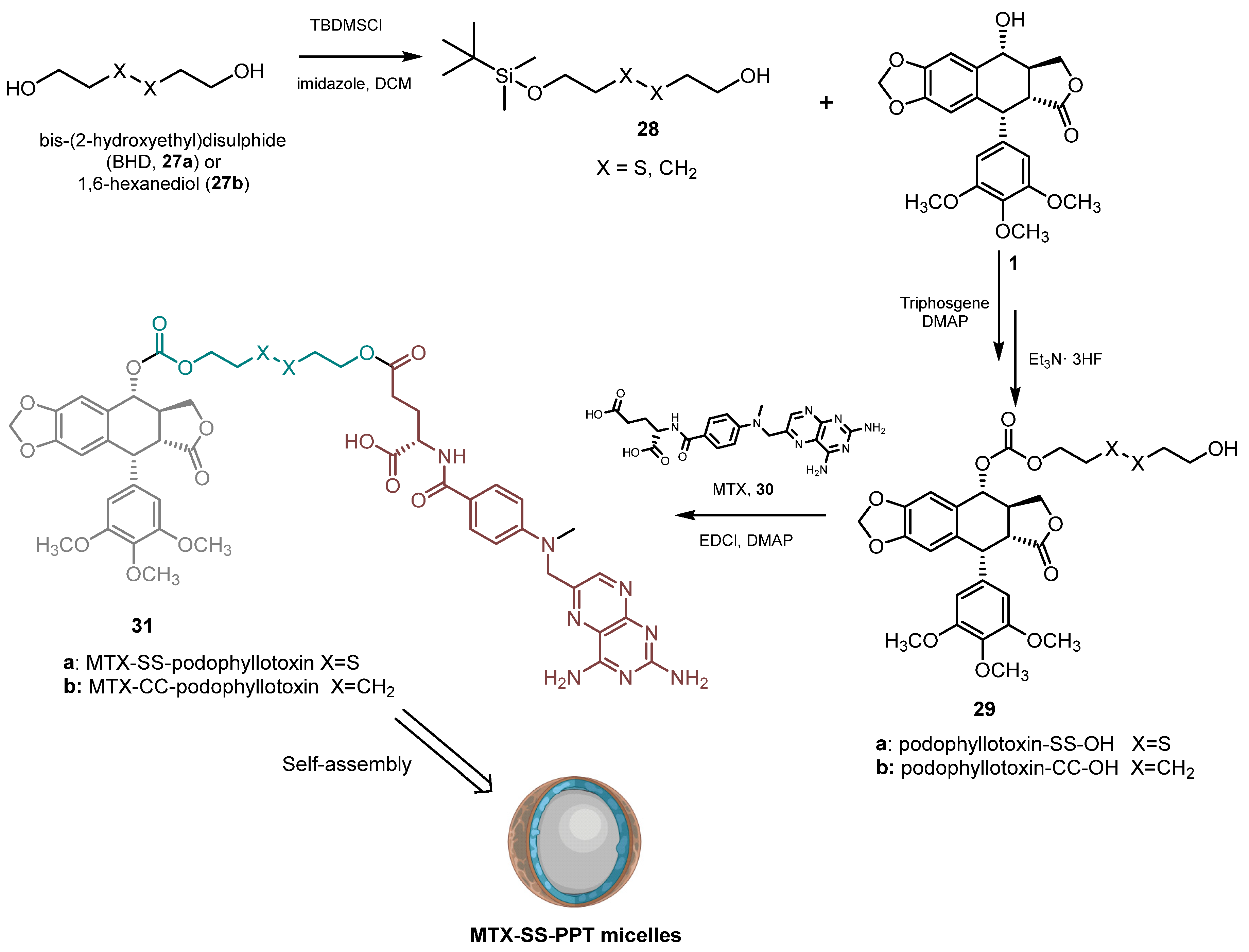 Pharmaceuticals 18 00169 sch008