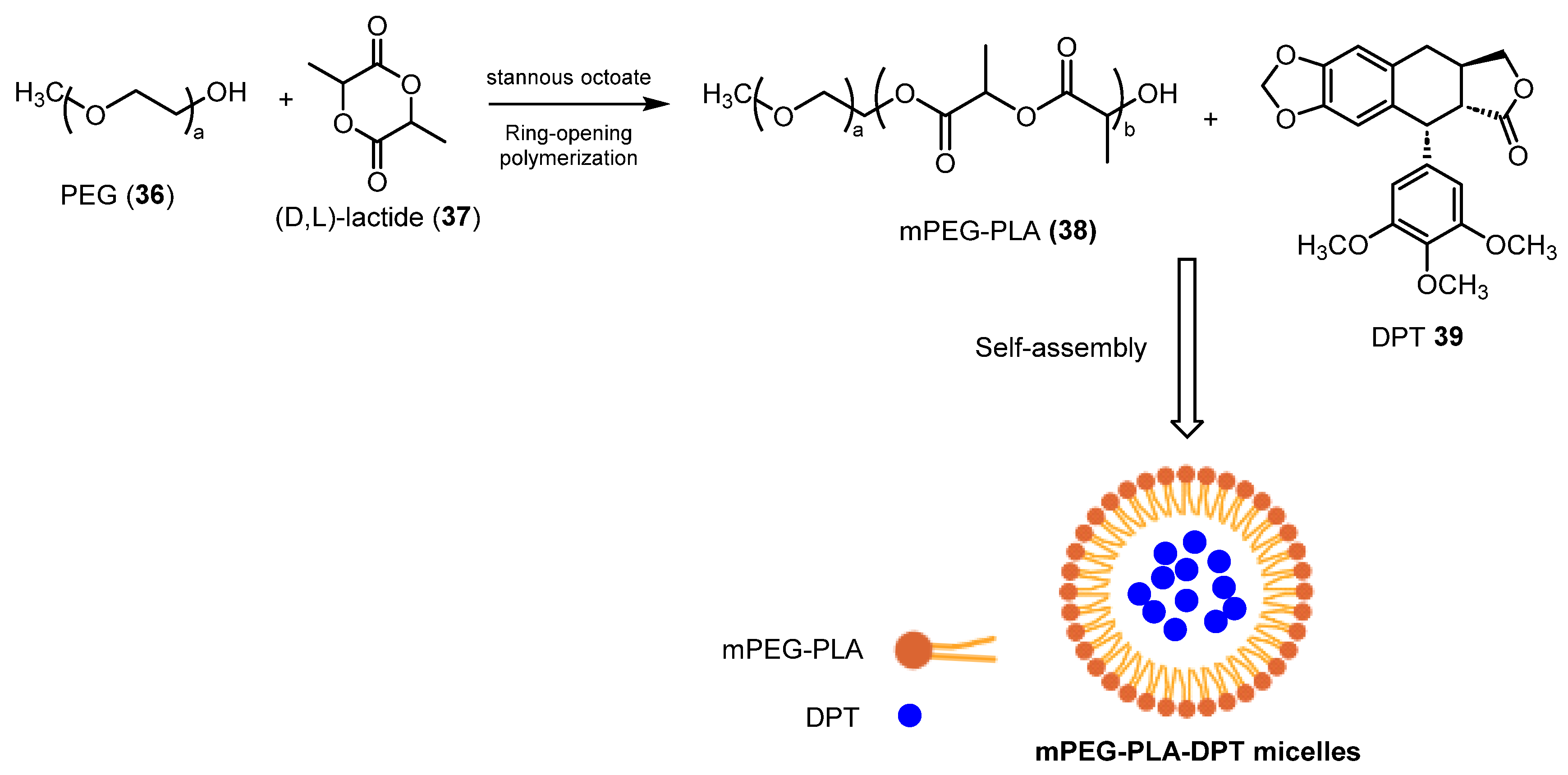 Pharmaceuticals 18 00169 sch010