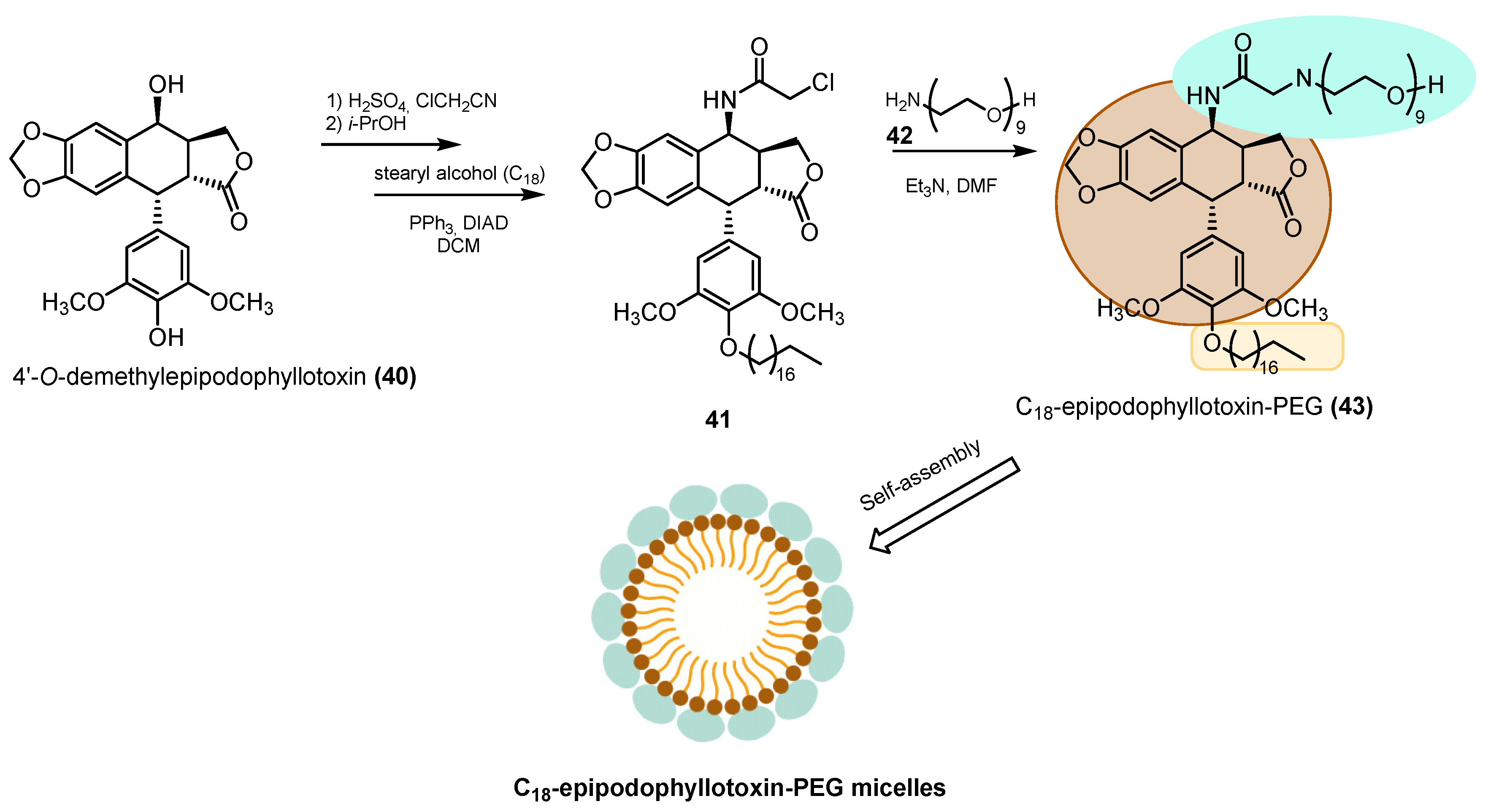 Pharmaceuticals 18 00169 sch011