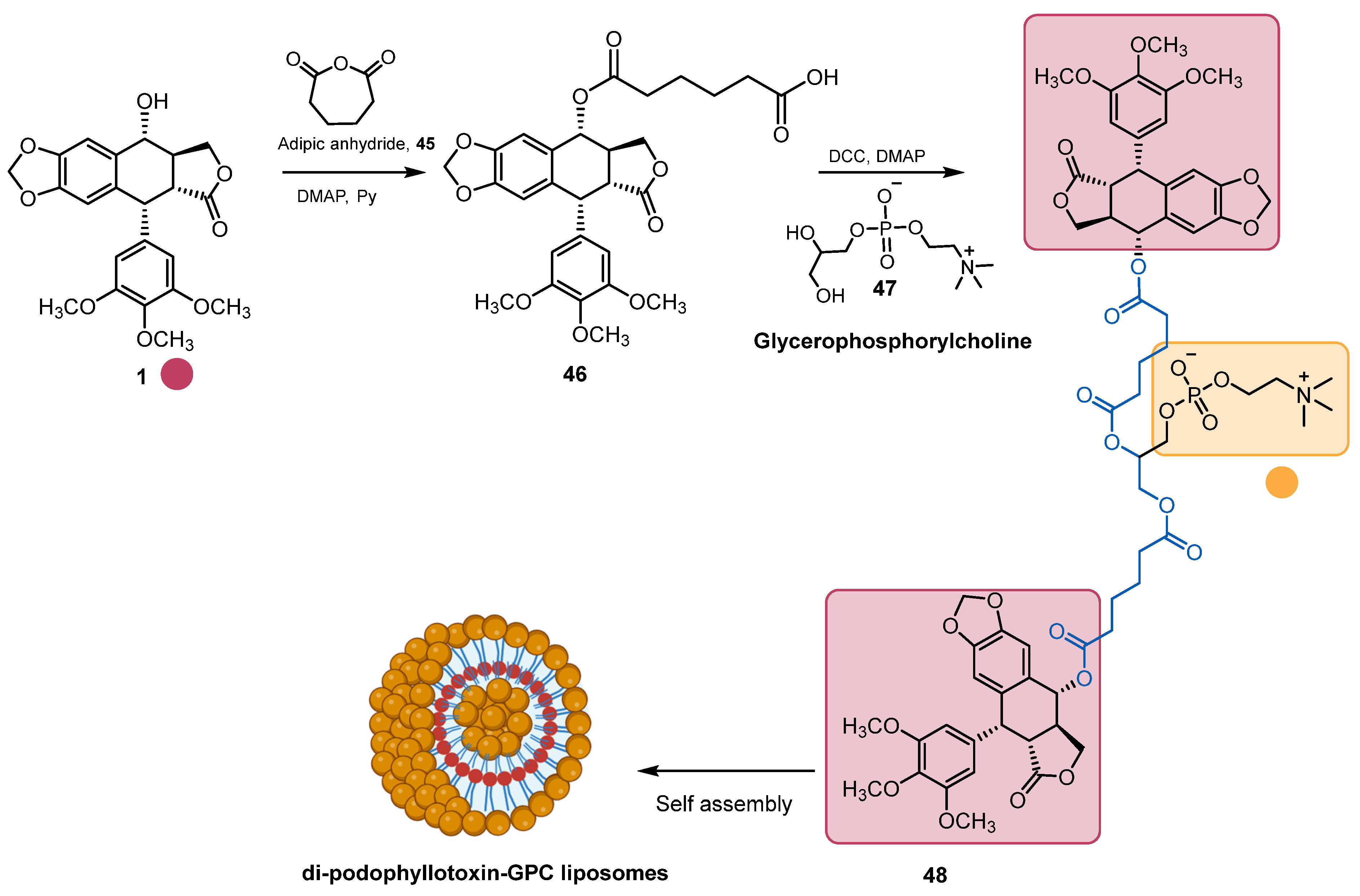 Pharmaceuticals 18 00169 sch013