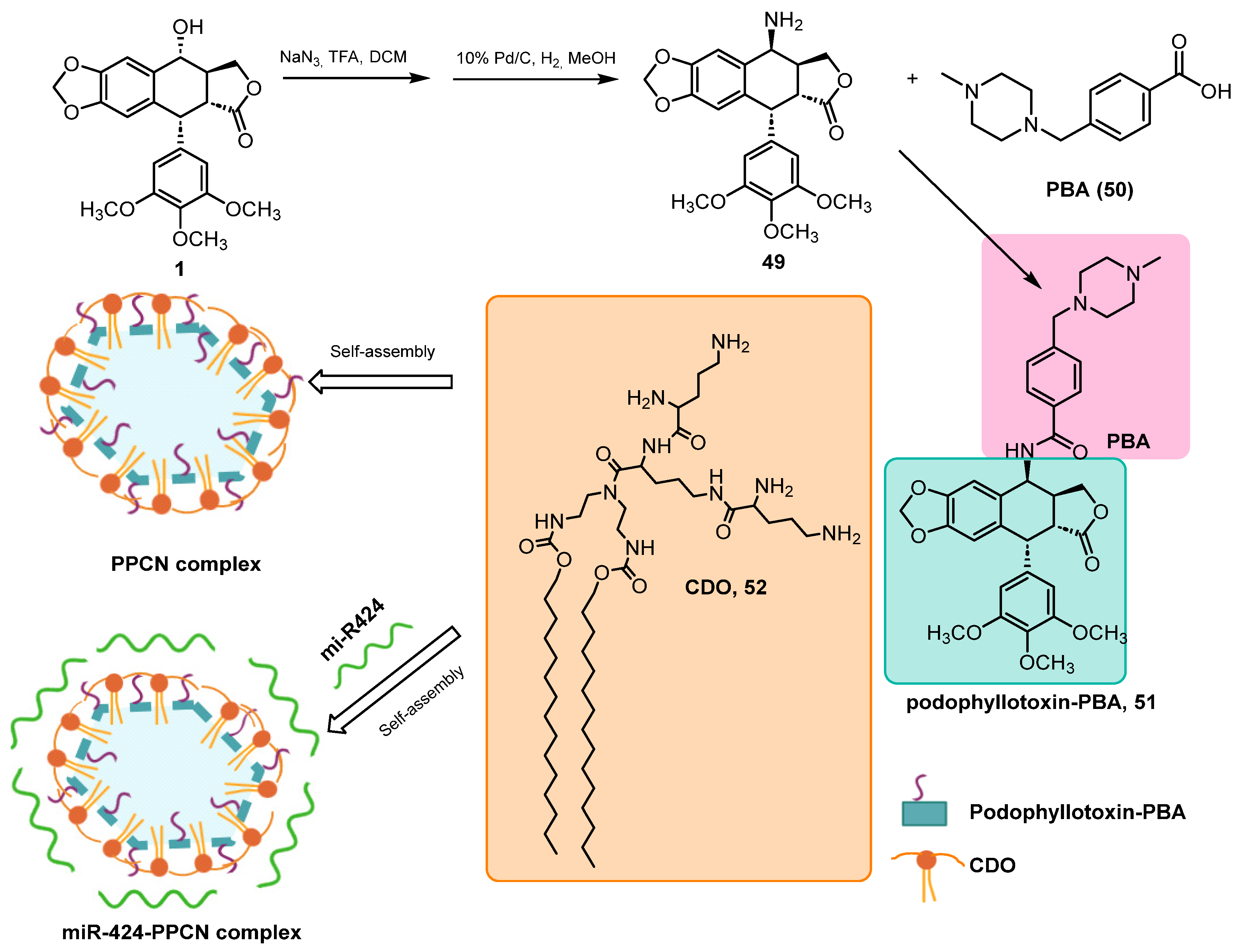 Pharmaceuticals 18 00169 sch014