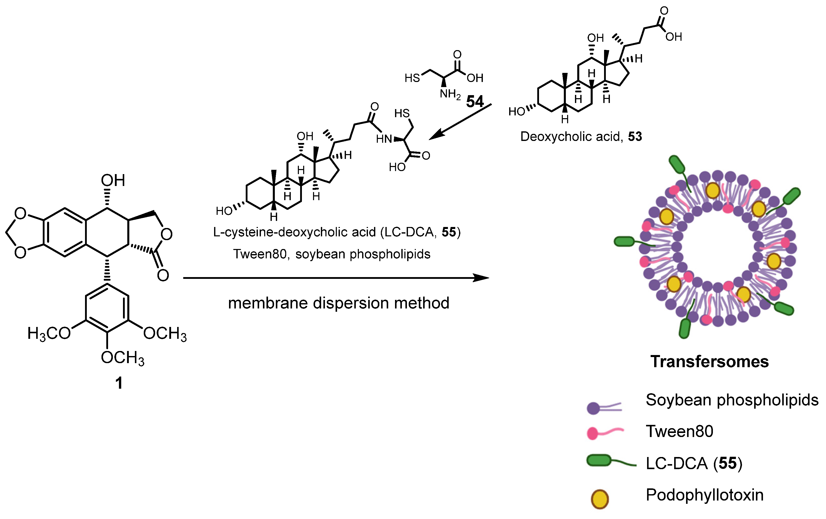 Pharmaceuticals 18 00169 sch015