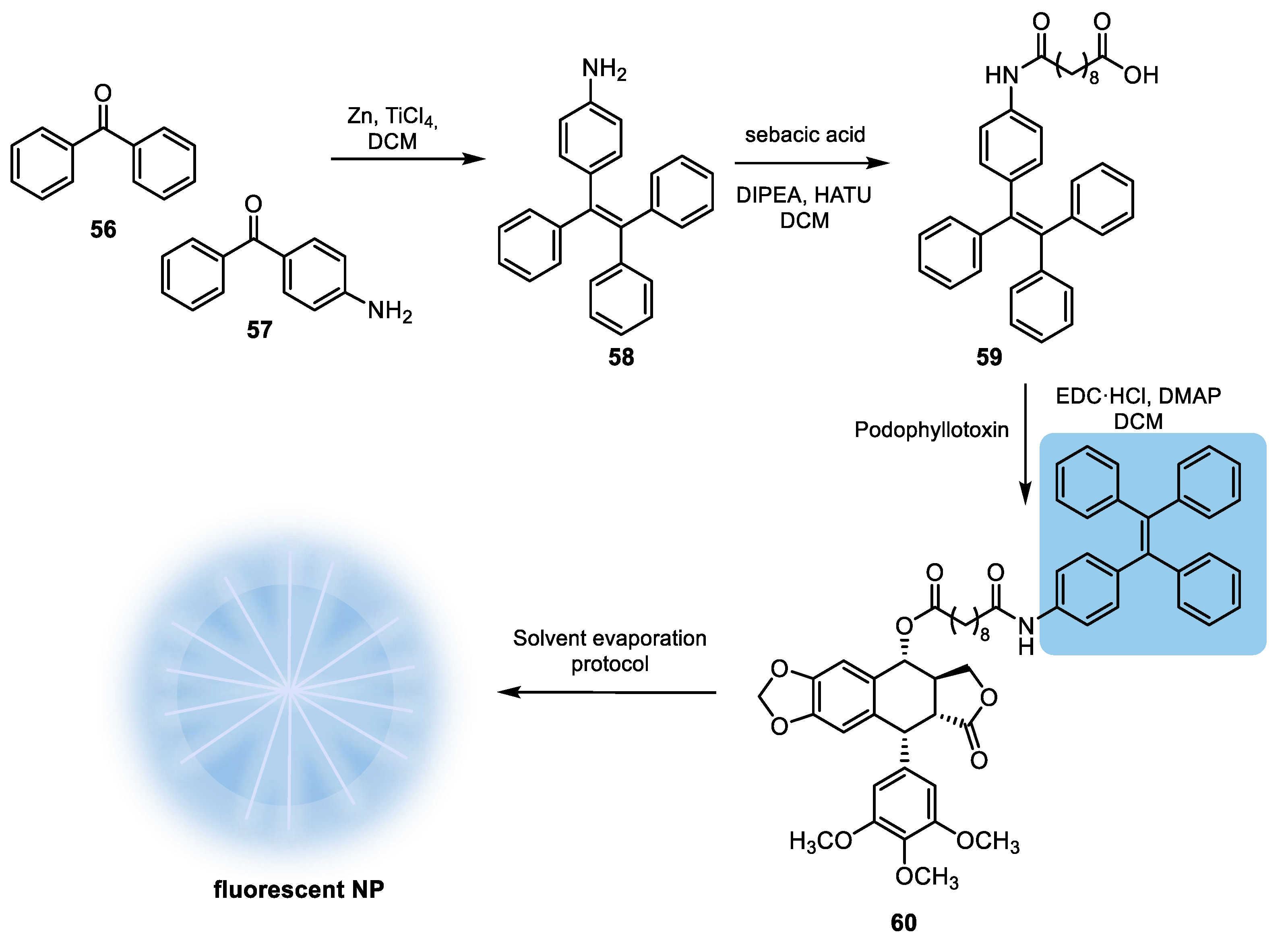 Pharmaceuticals 18 00169 sch016