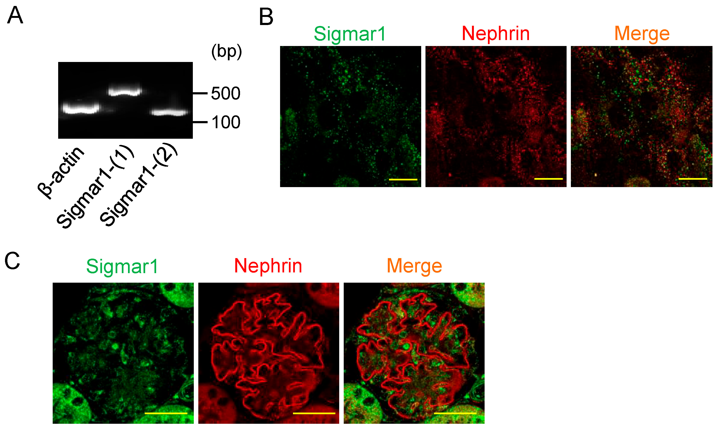 Pharmaceuticals 18 00172 g001