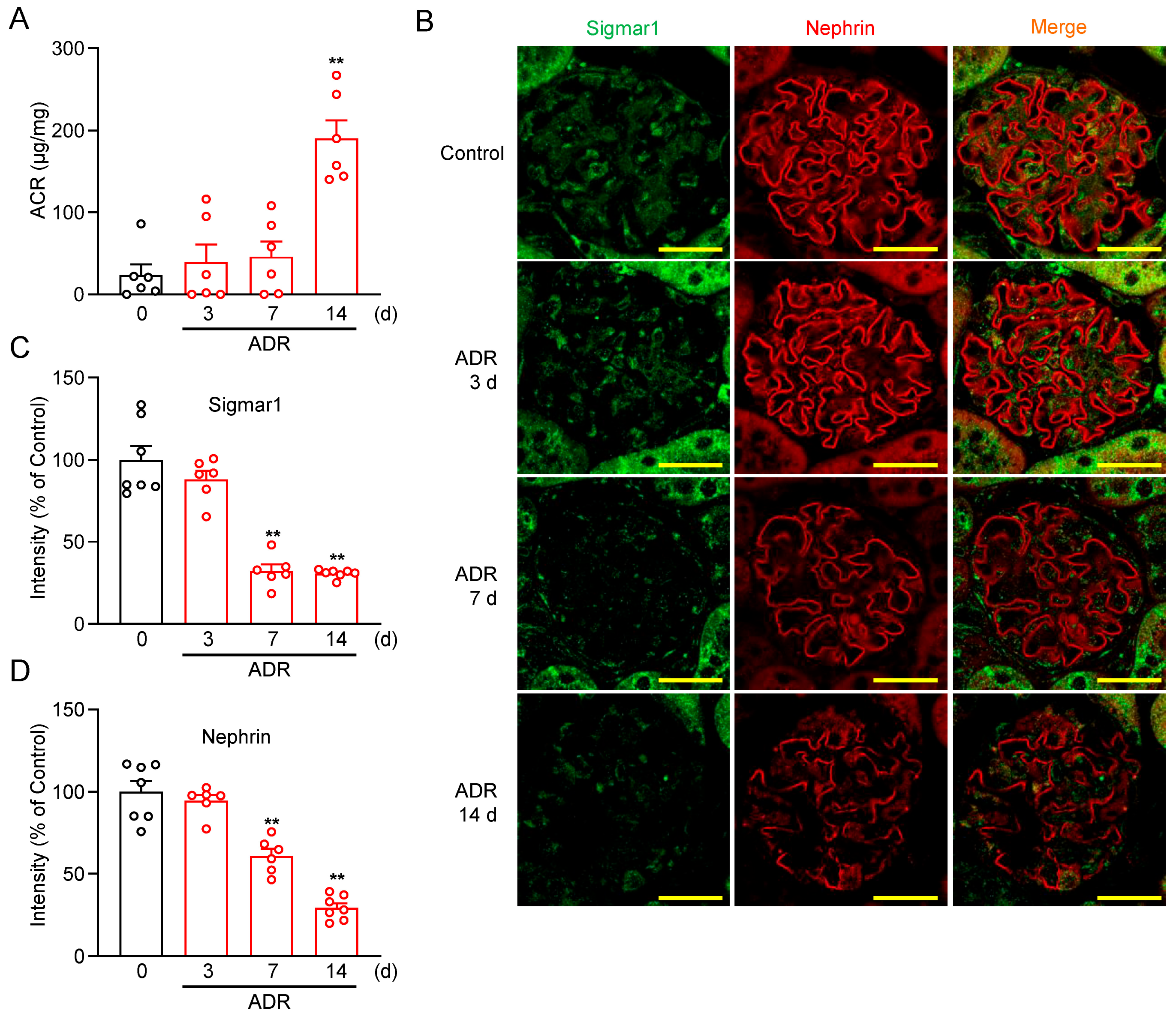Pharmaceuticals 18 00172 g004