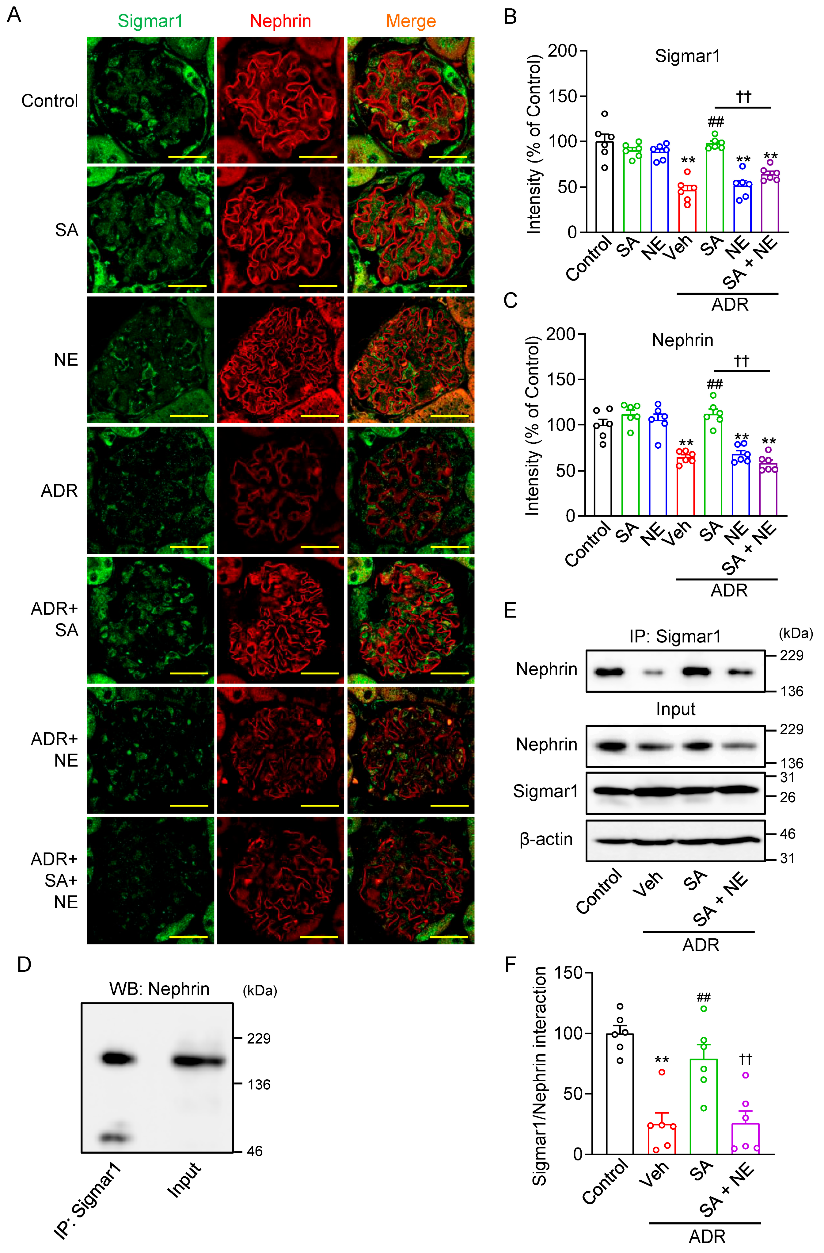 Pharmaceuticals 18 00172 g006