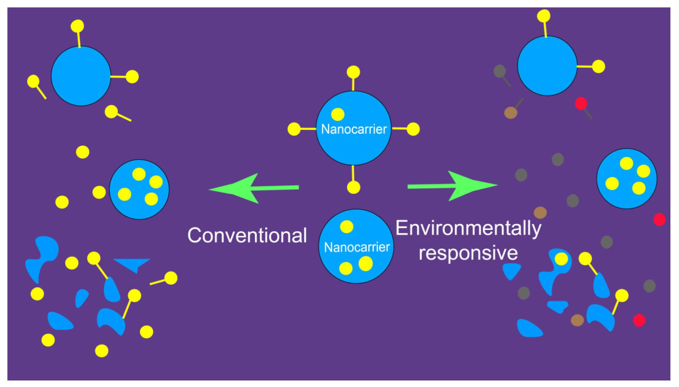 Pharmaceuticals 18 00176 g003